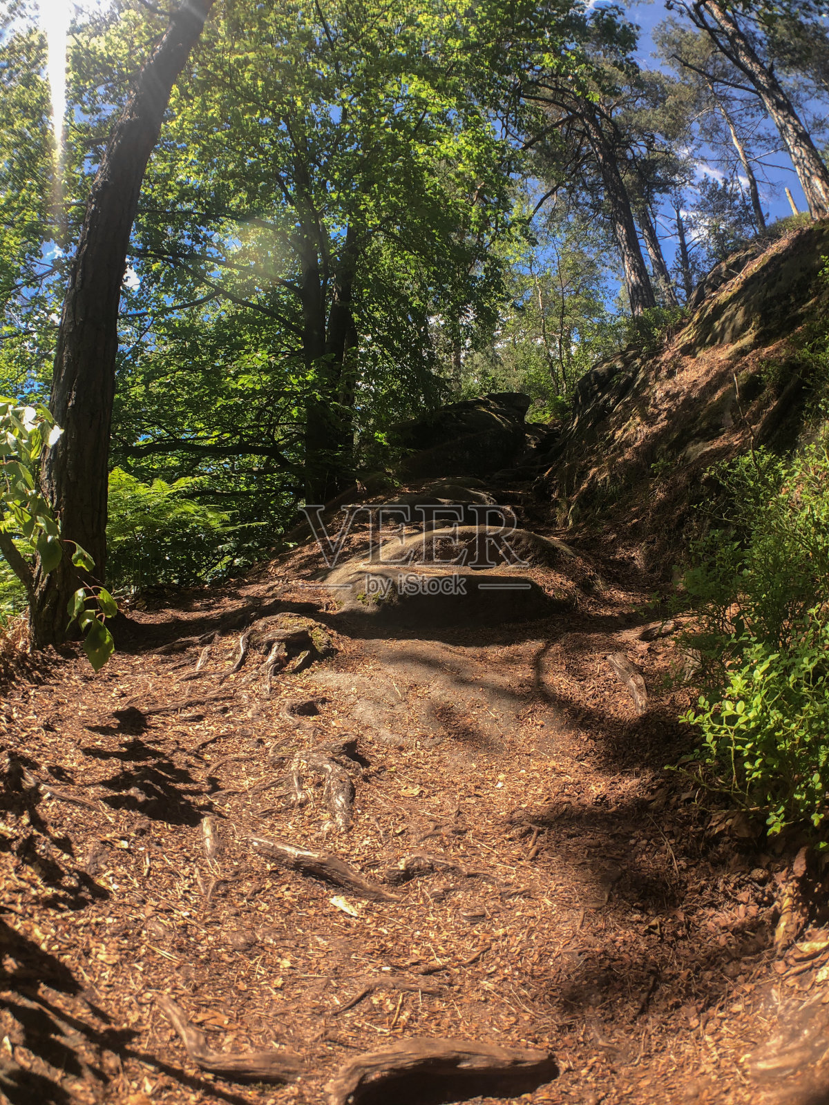 徒步旅行在撒克逊瑞士的视野照片摄影图片