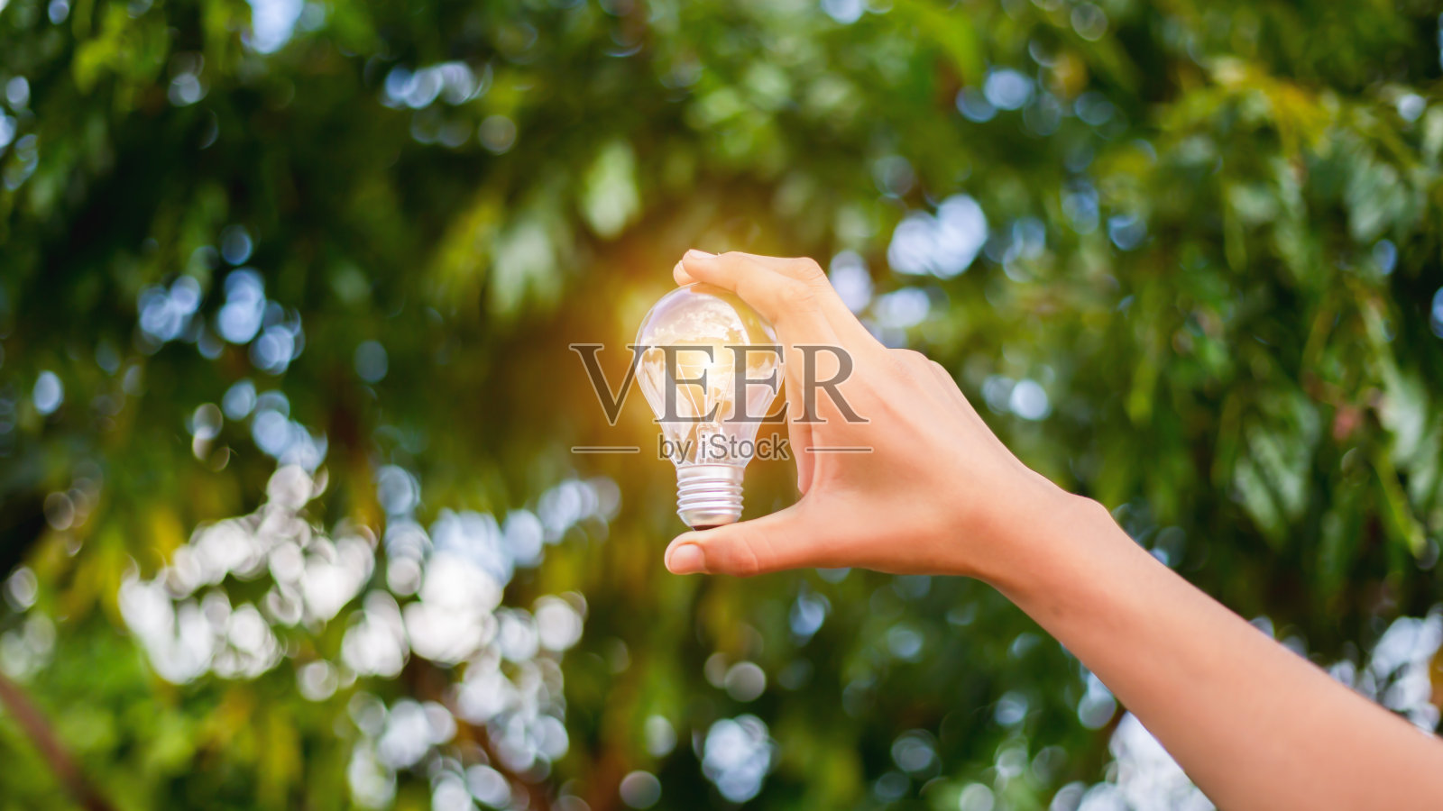 手握灯泡，自然能源，爱世界的理念。照片摄影图片