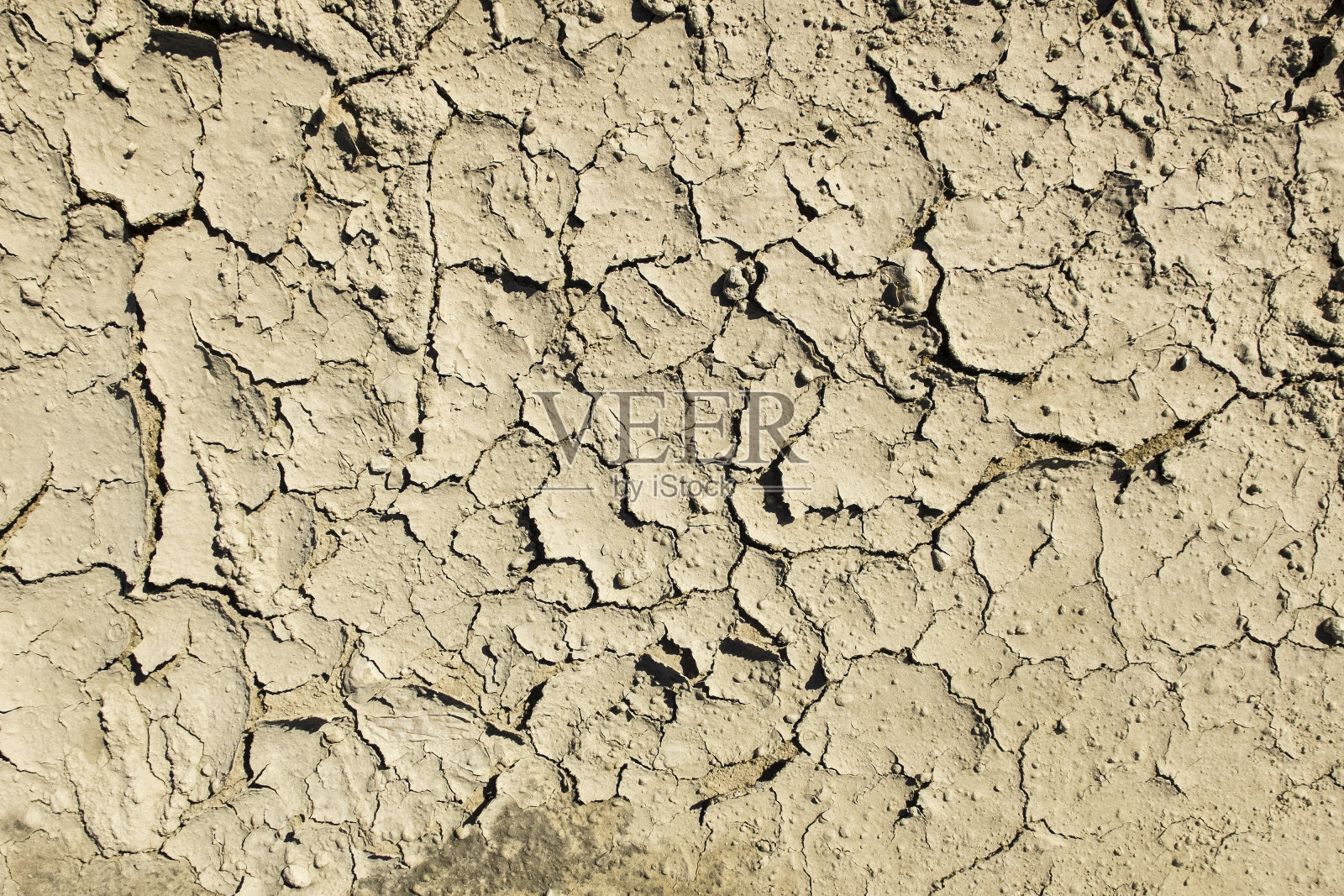 阳光下裂开的泥照片摄影图片