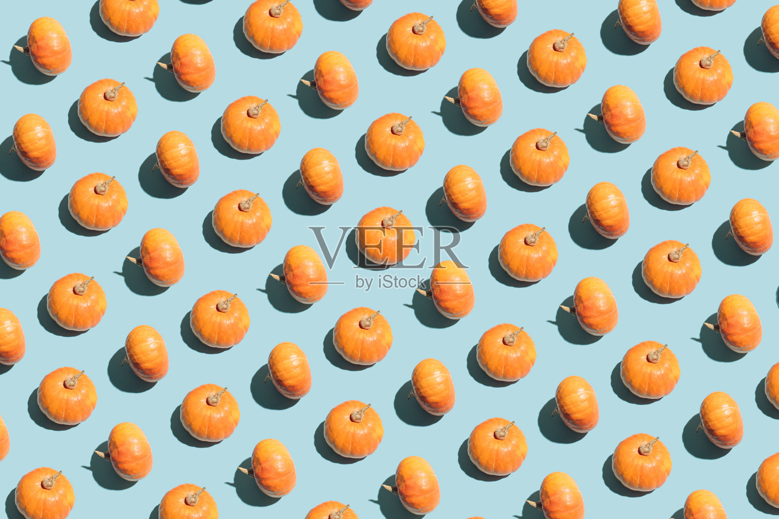 创意的无缝图案与新鲜的南瓜明亮的淡蓝色背景。最小的万圣节和秋季概念，美学几何安排。照片摄影图片