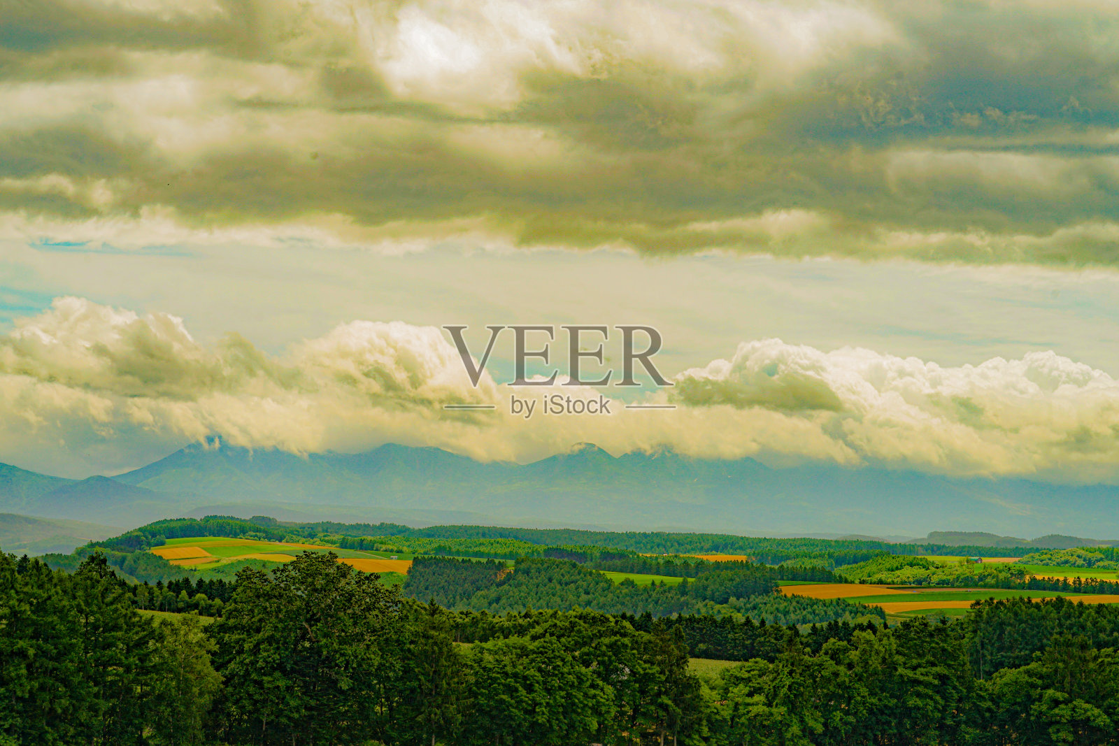 北海道大平原的图像照片摄影图片