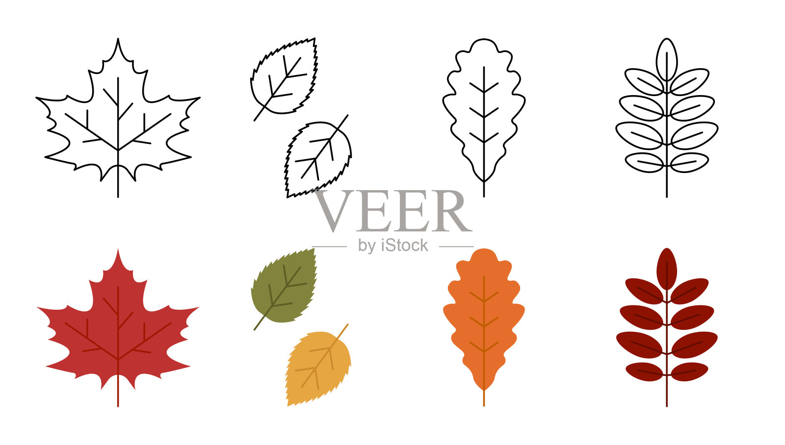 一套秋天的叶子图标。秋天的树叶孤立在白色的背景上。图标设置在时髦的线条风格。矢量插图。插画图片素材