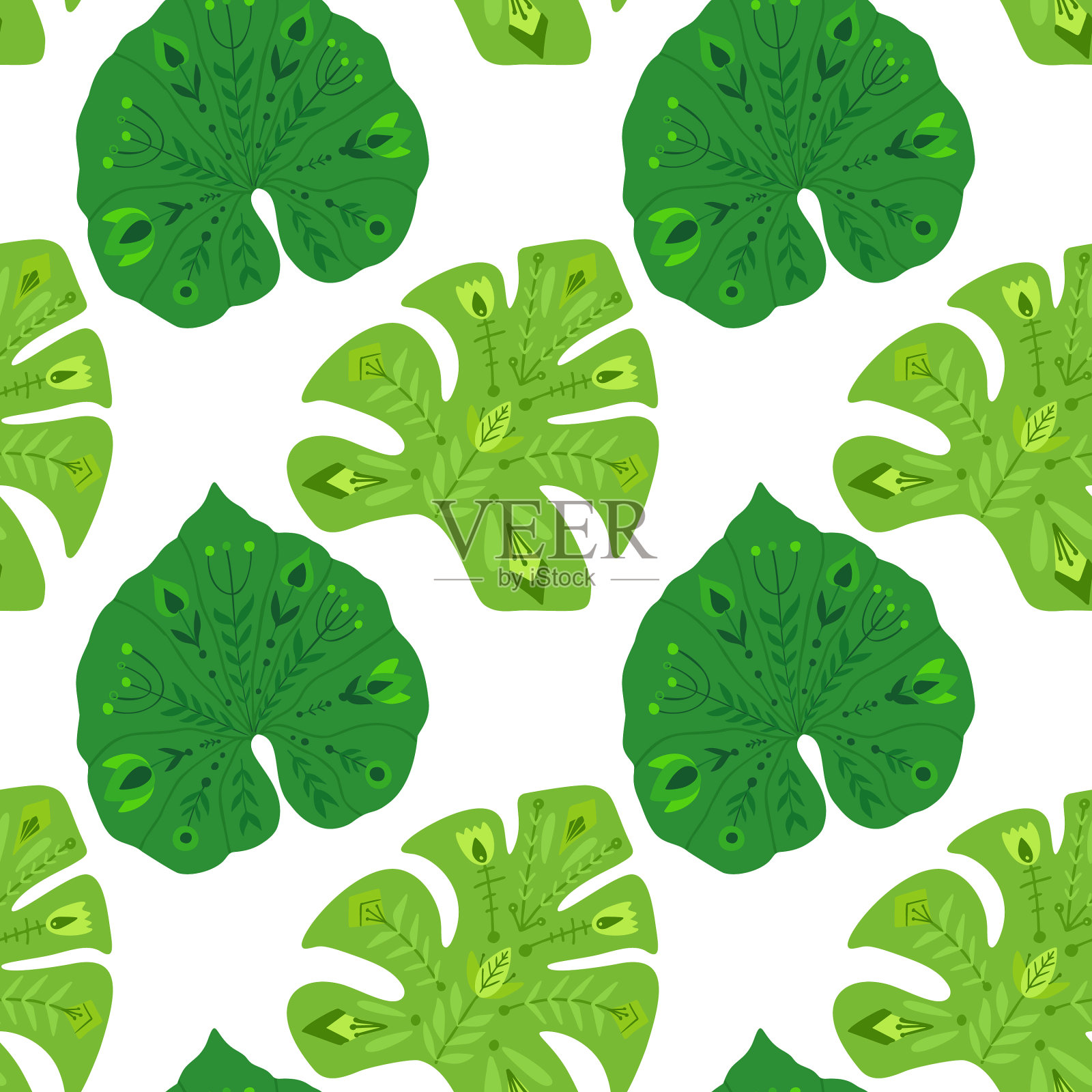 带有藤本植物和巨叶的热带植物插画图片素材