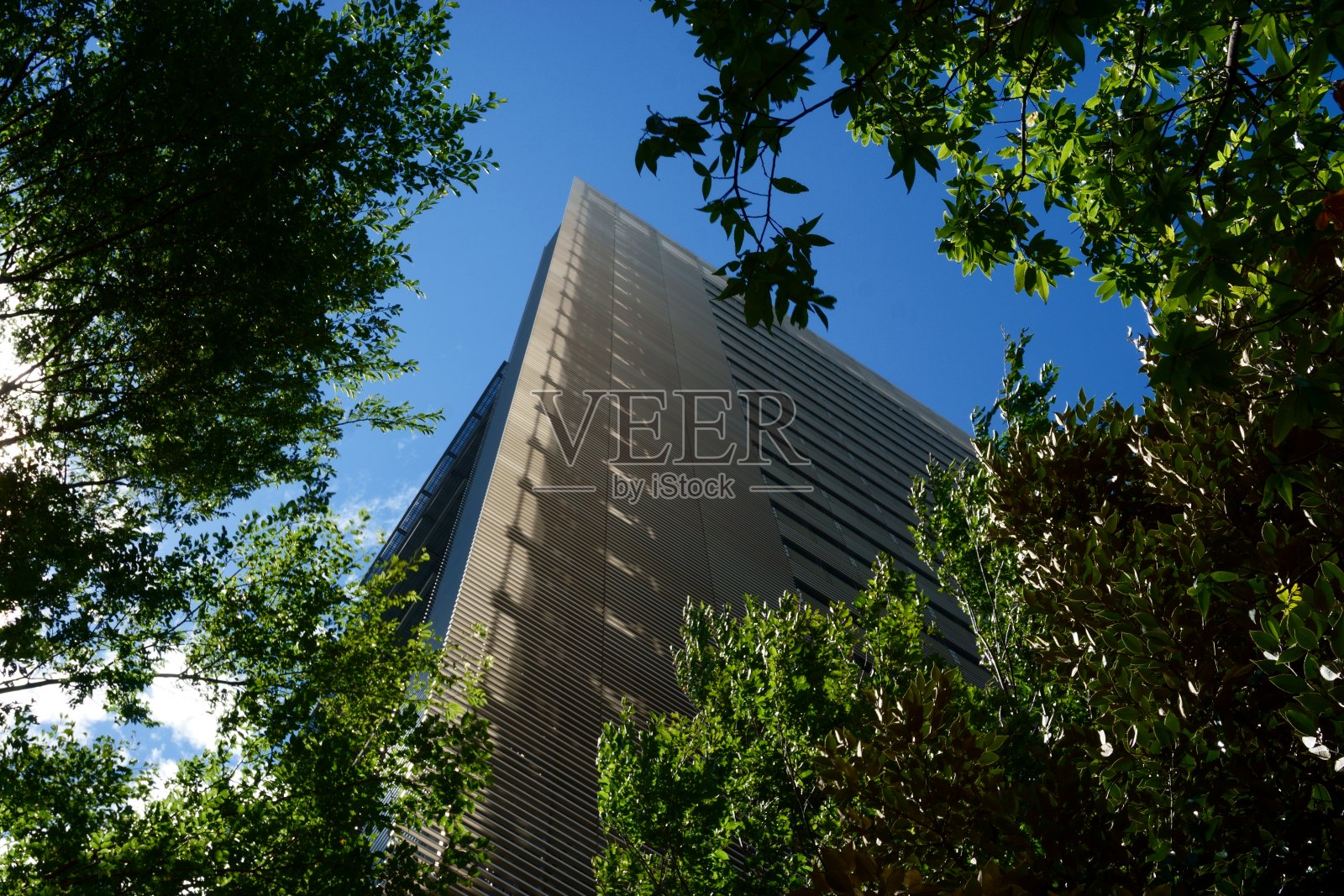 绿树公园的办公楼2照片摄影图片