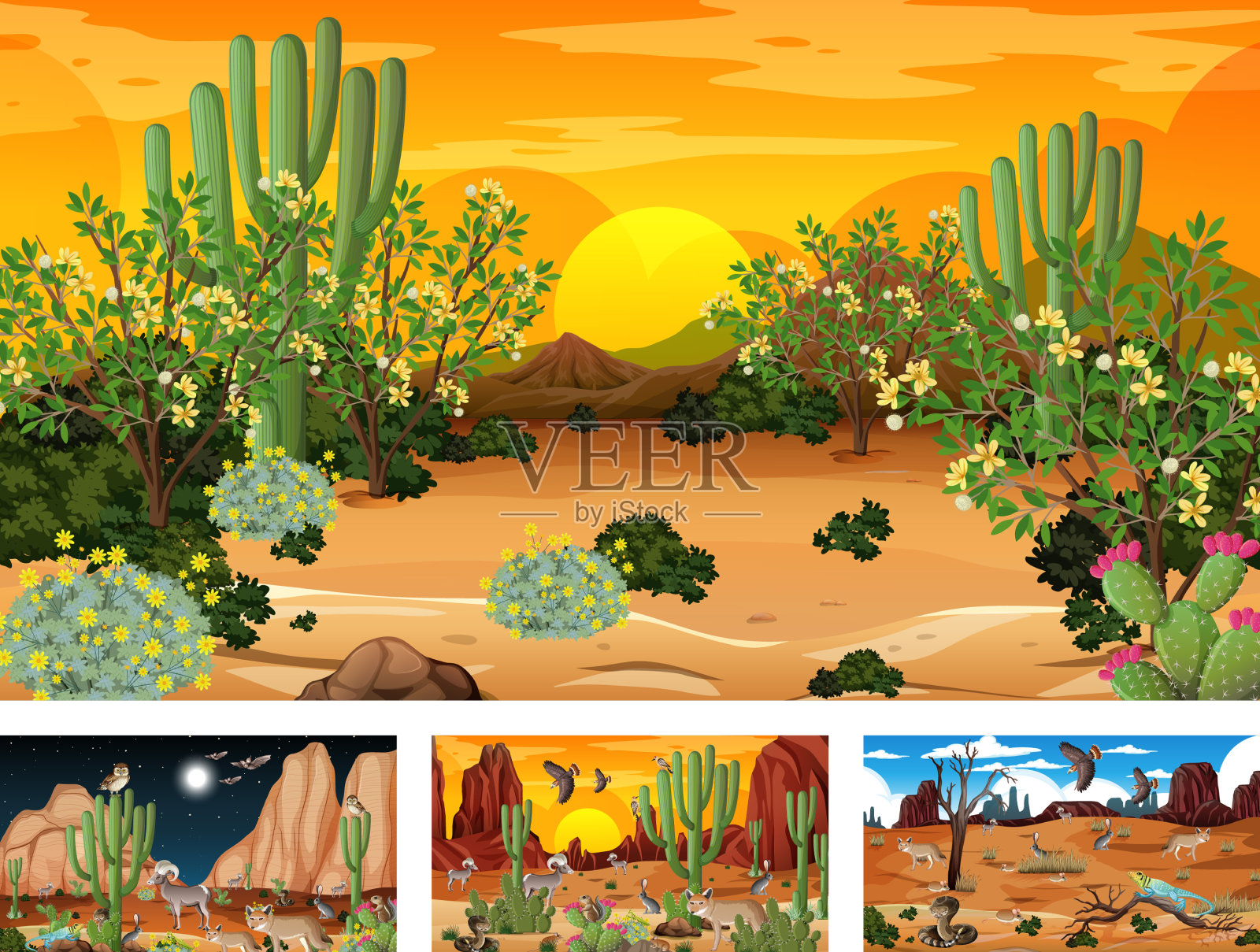 不同场景的沙漠森林景观插画图片素材