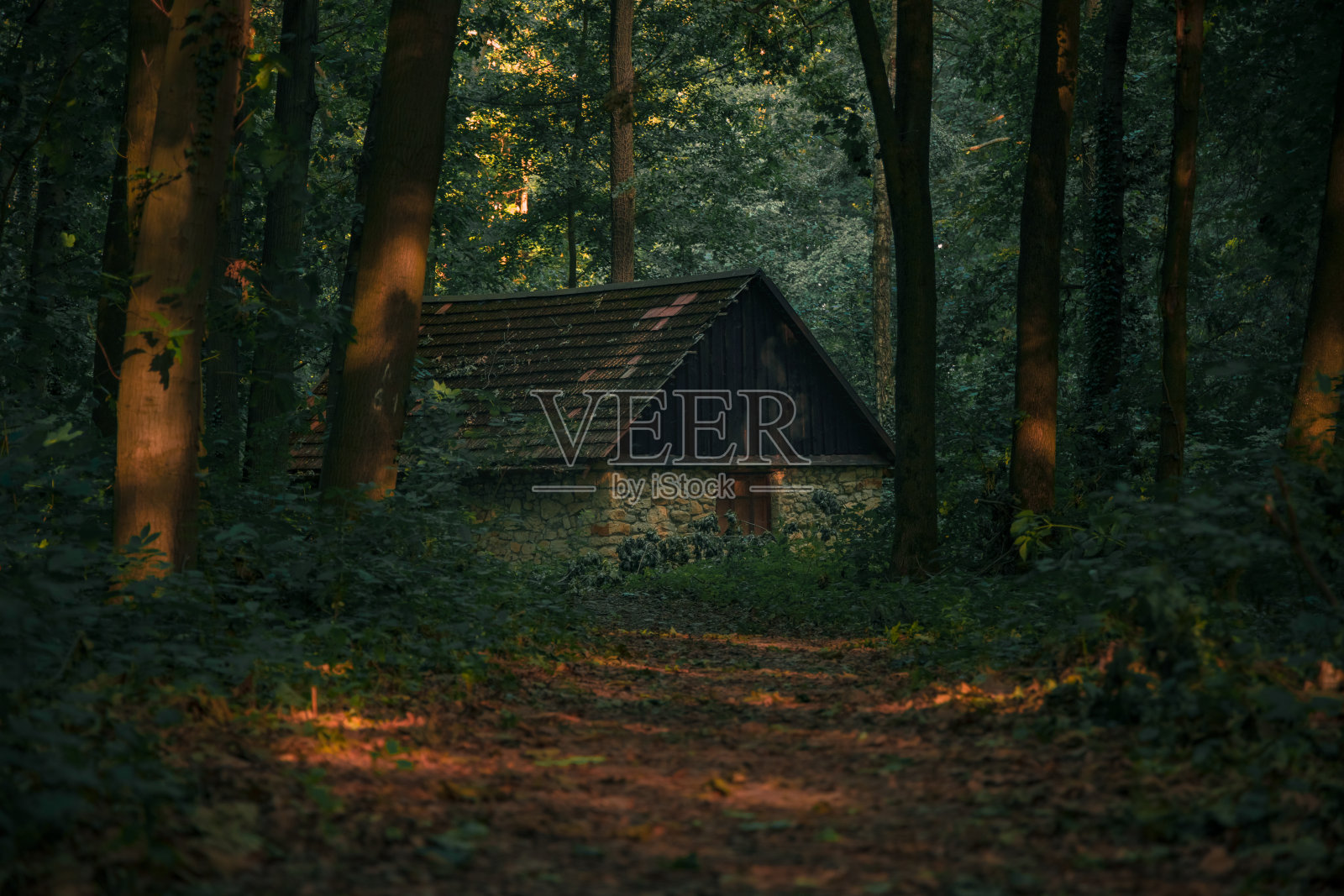 贫屋在林地黄昏秋九月黄昏环境空间，柔焦点概念自然写真照片摄影图片