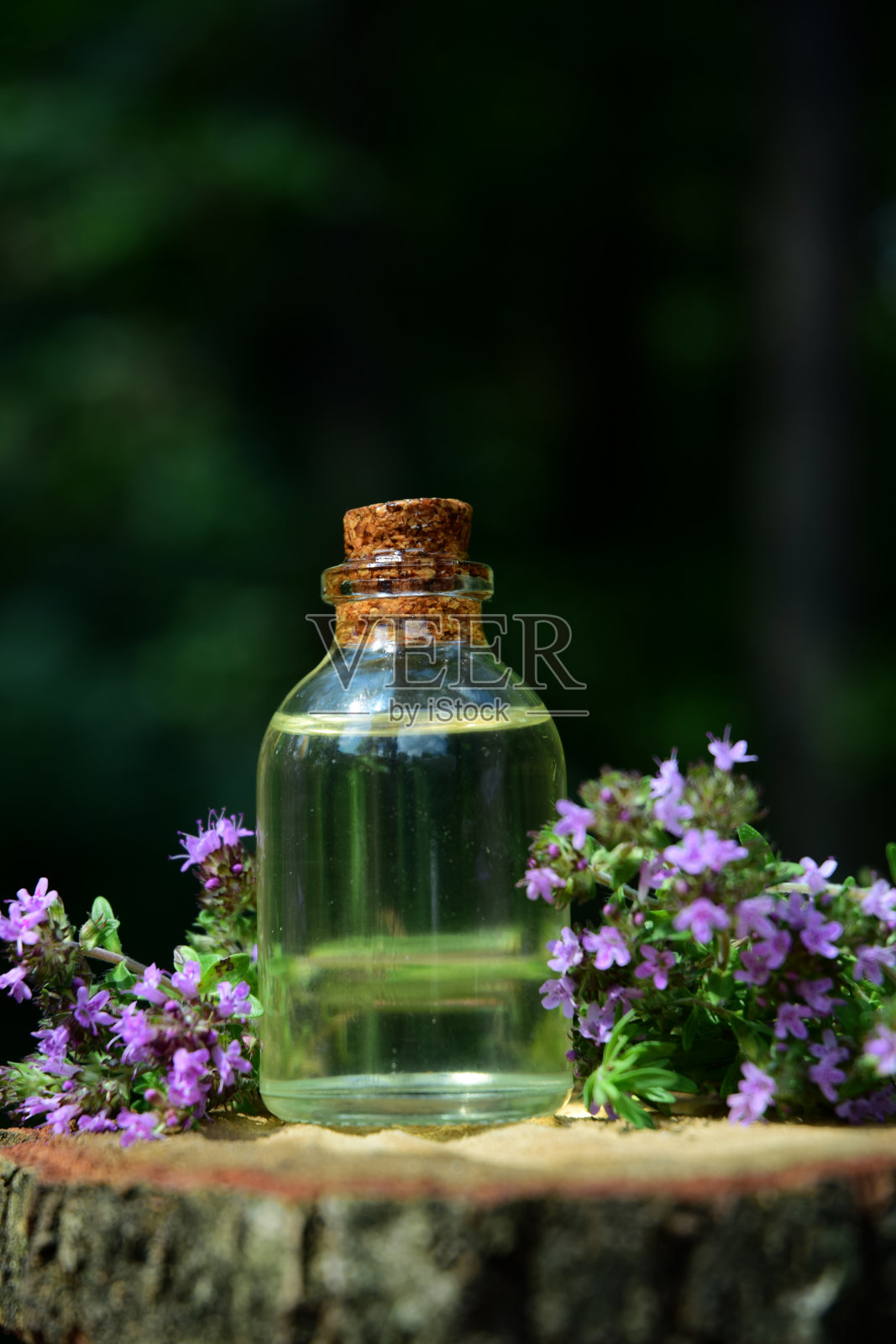 百里香的香味油照片摄影图片