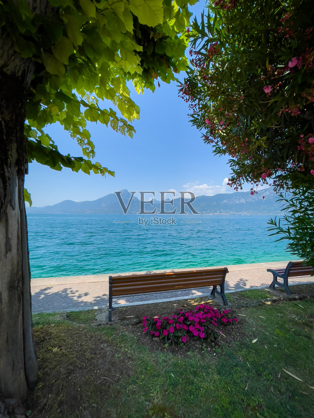 这条长凳矗立在绿松石般的加尔达湖畔照片摄影图片