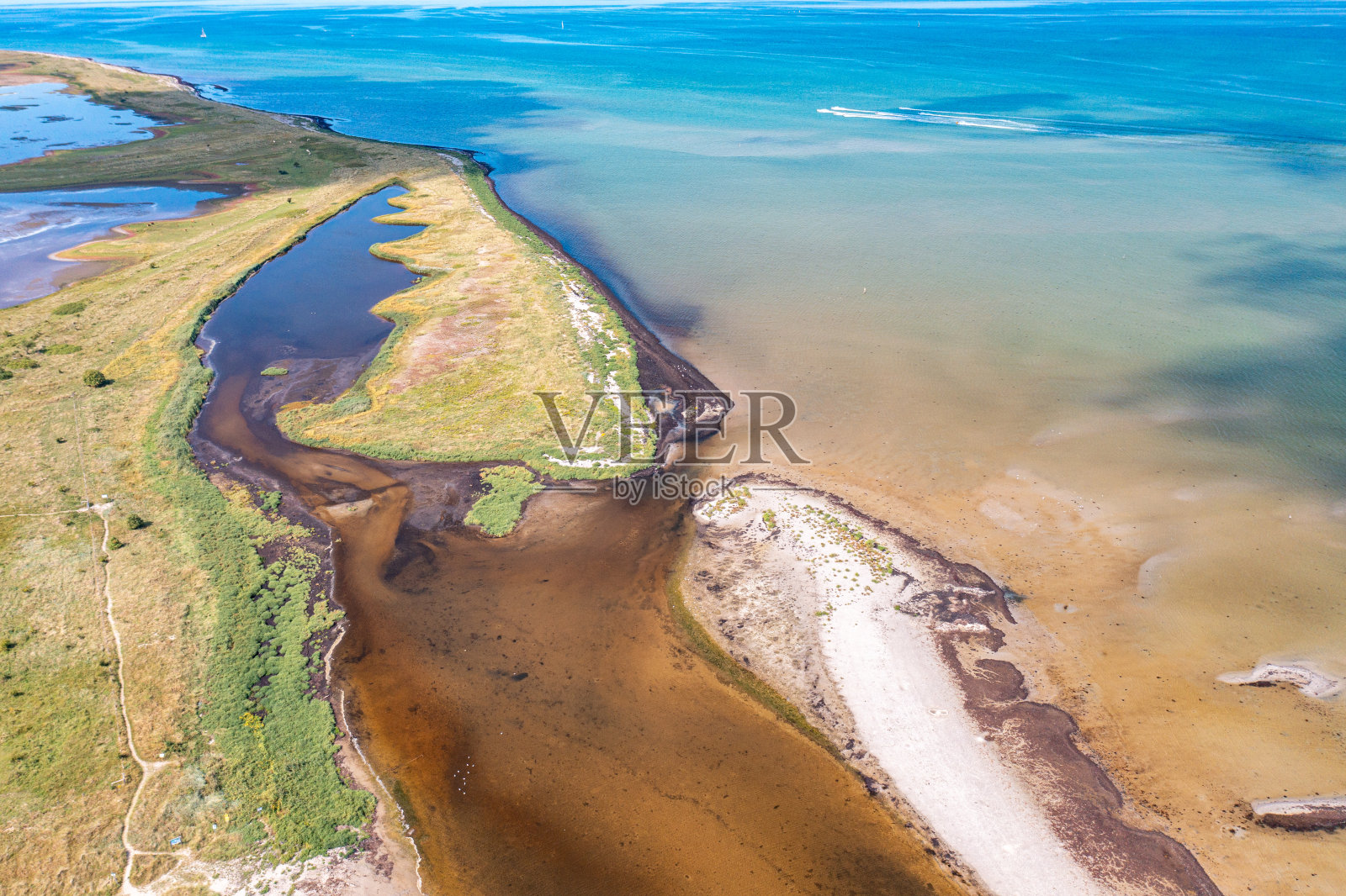 绿色的边缘照片摄影图片