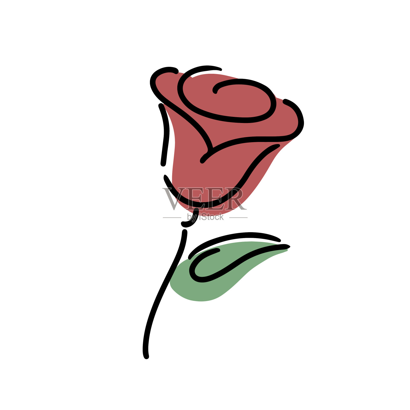 玫瑰手绘图标在白色的背景插画图片素材