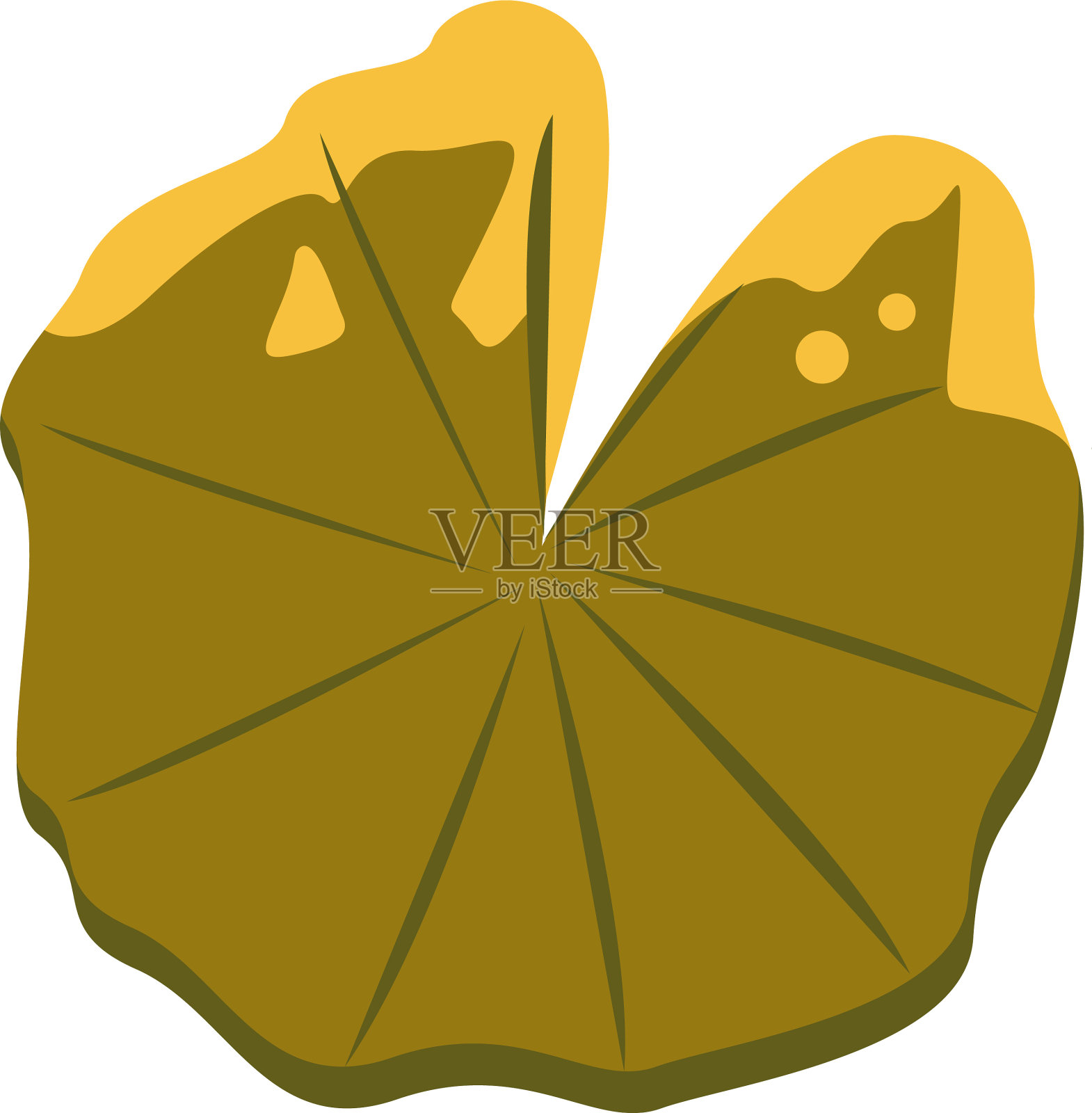 日本水产叶插画图片素材