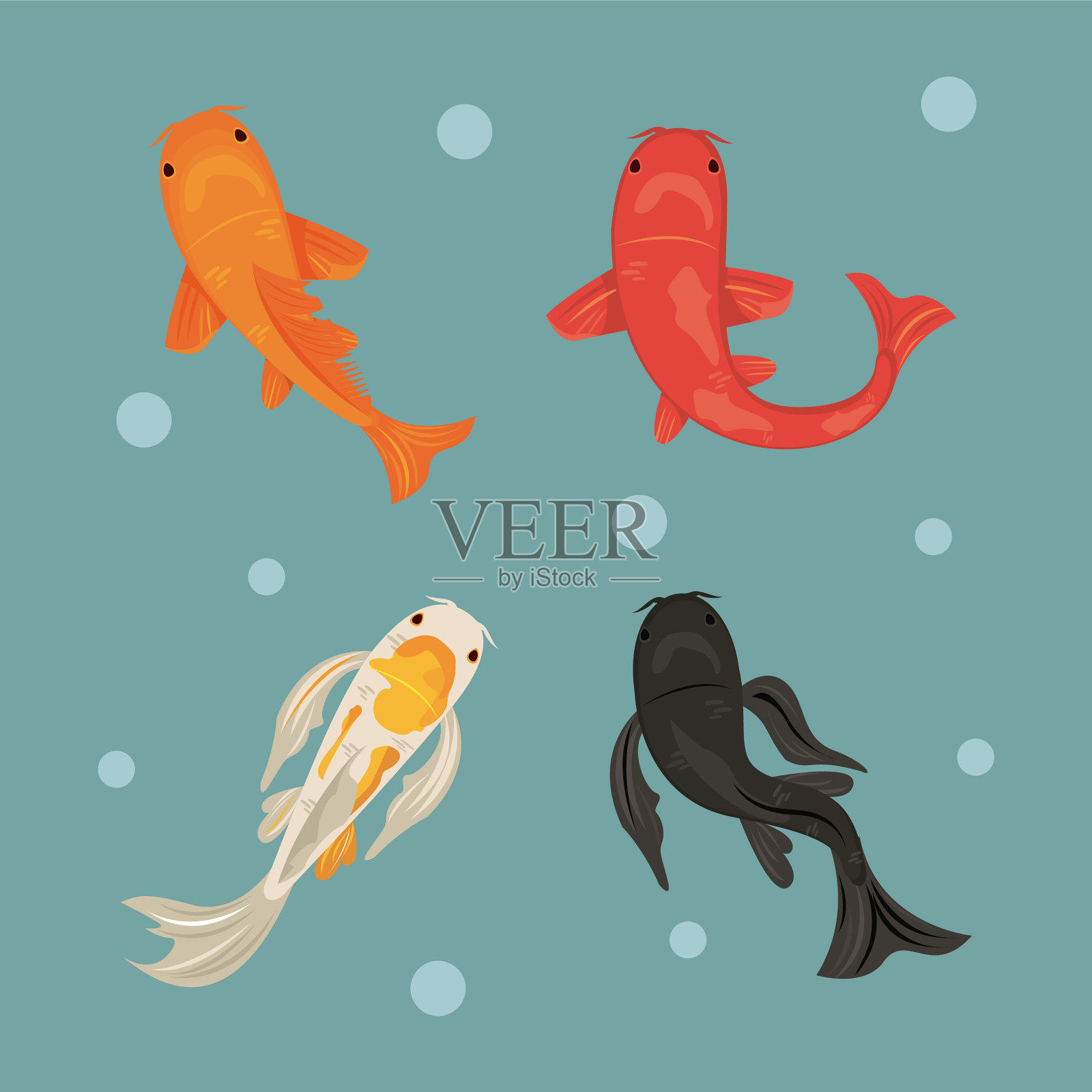 四个锦鲤鱼插画图片素材