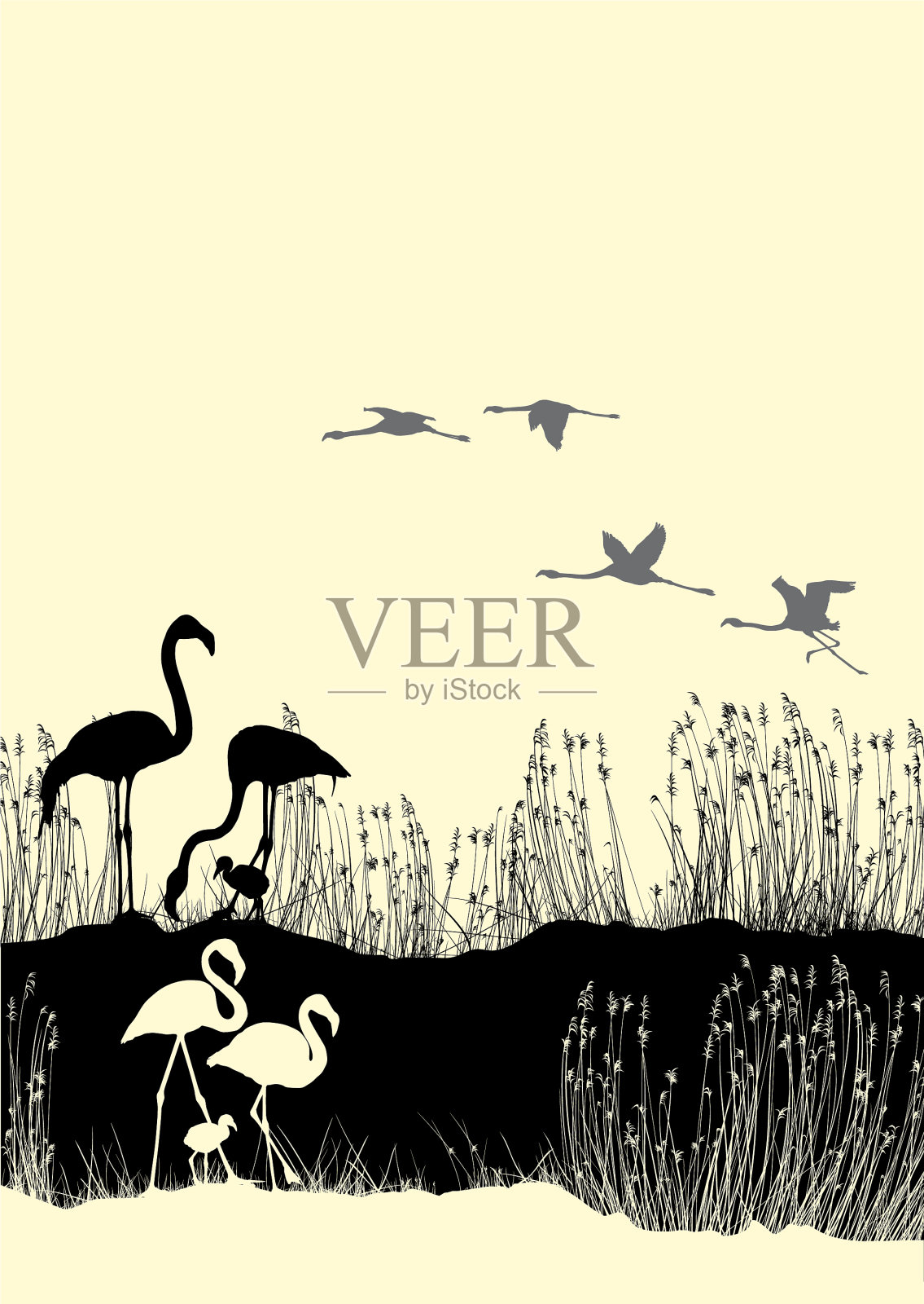 火烈鸟和它们的幼鸟插画图片素材