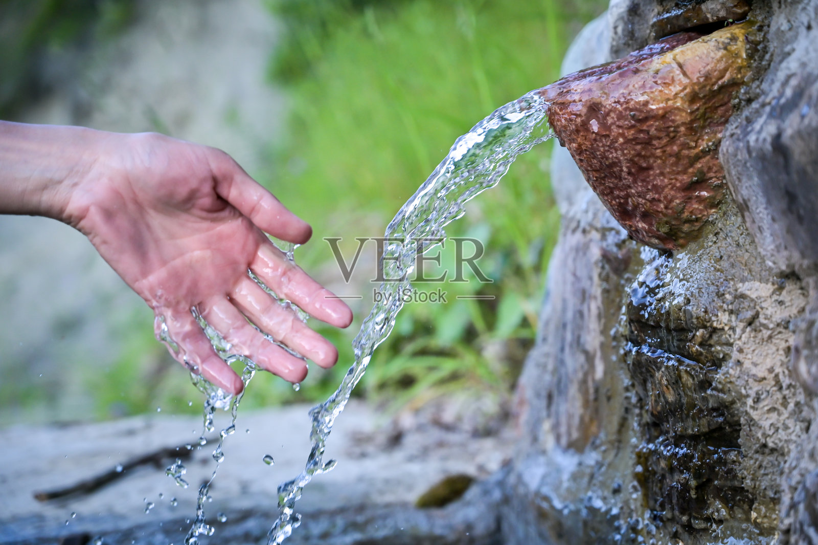 自然界的饮用水照片摄影图片