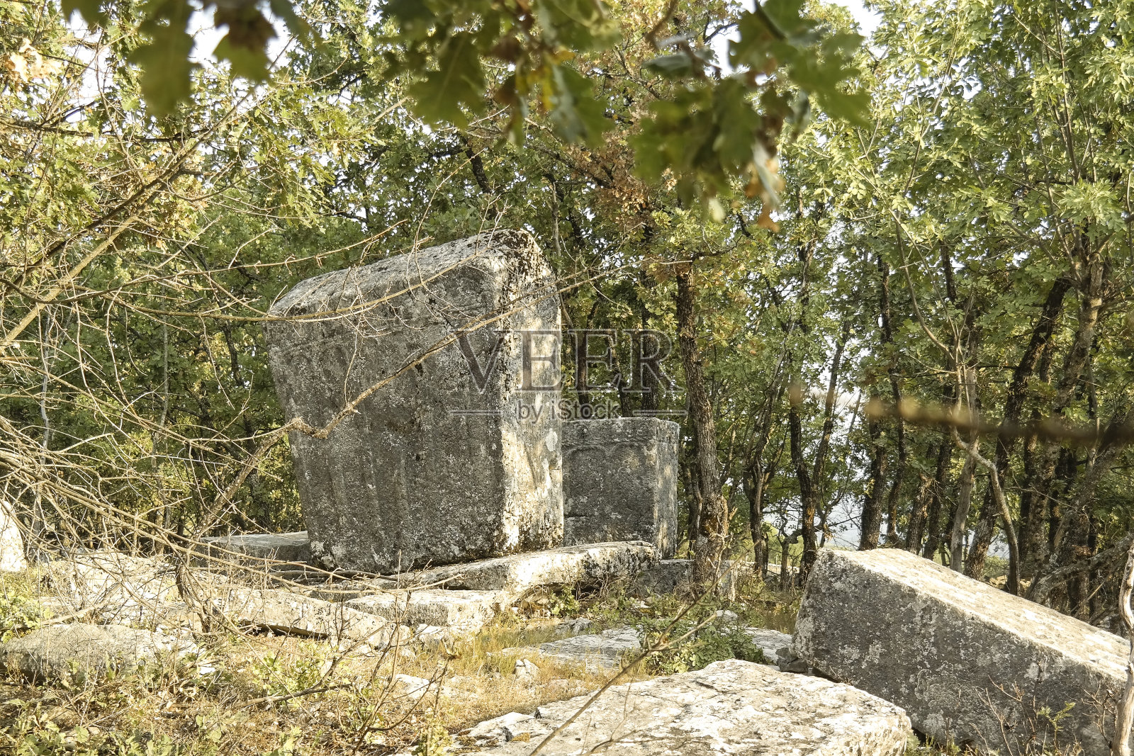 Stećci on necropolis Grebnice近Bileća照片摄影图片