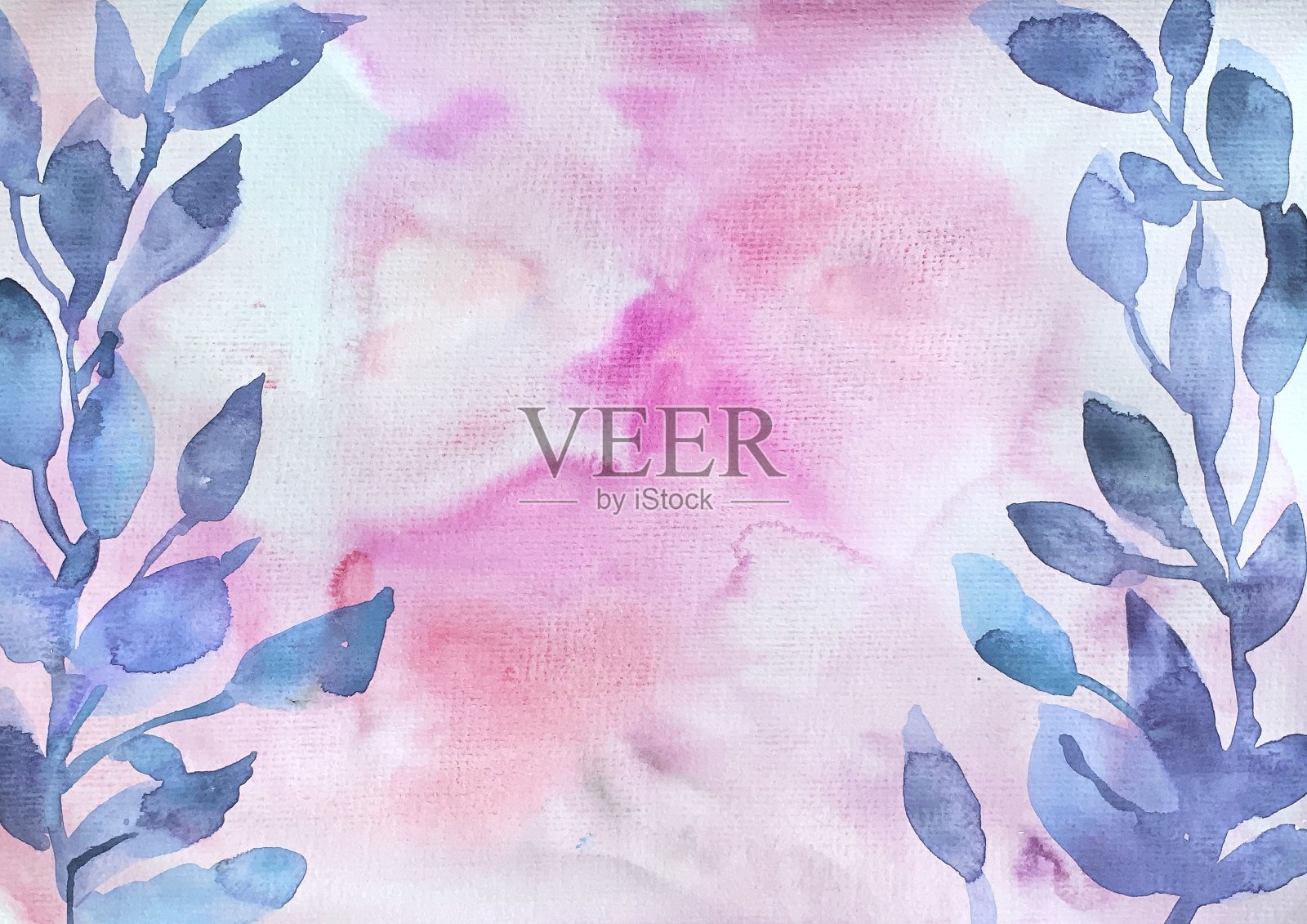 植物水彩框架插画图片素材