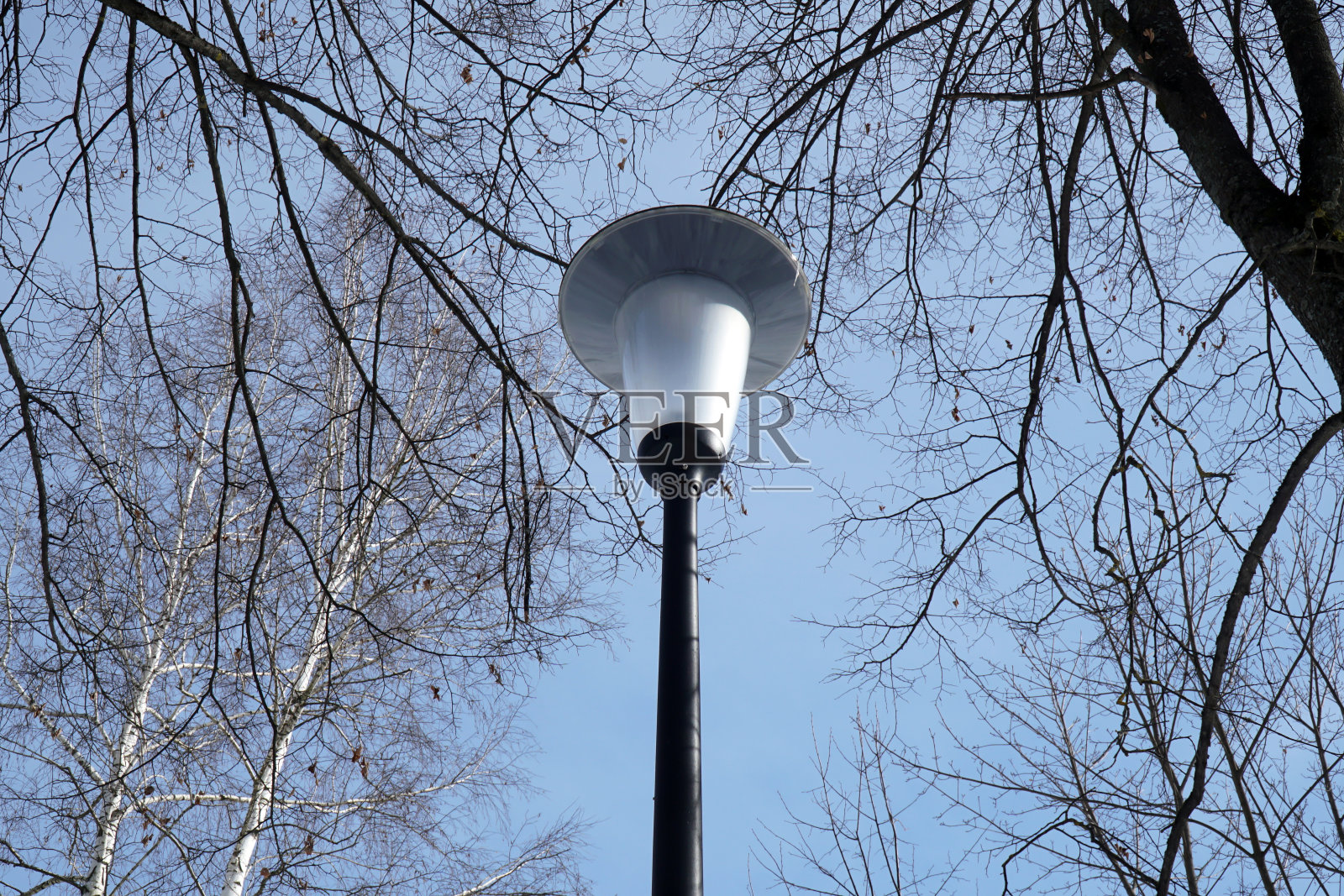 以蓝天和树枝为背景的现代街灯照片摄影图片