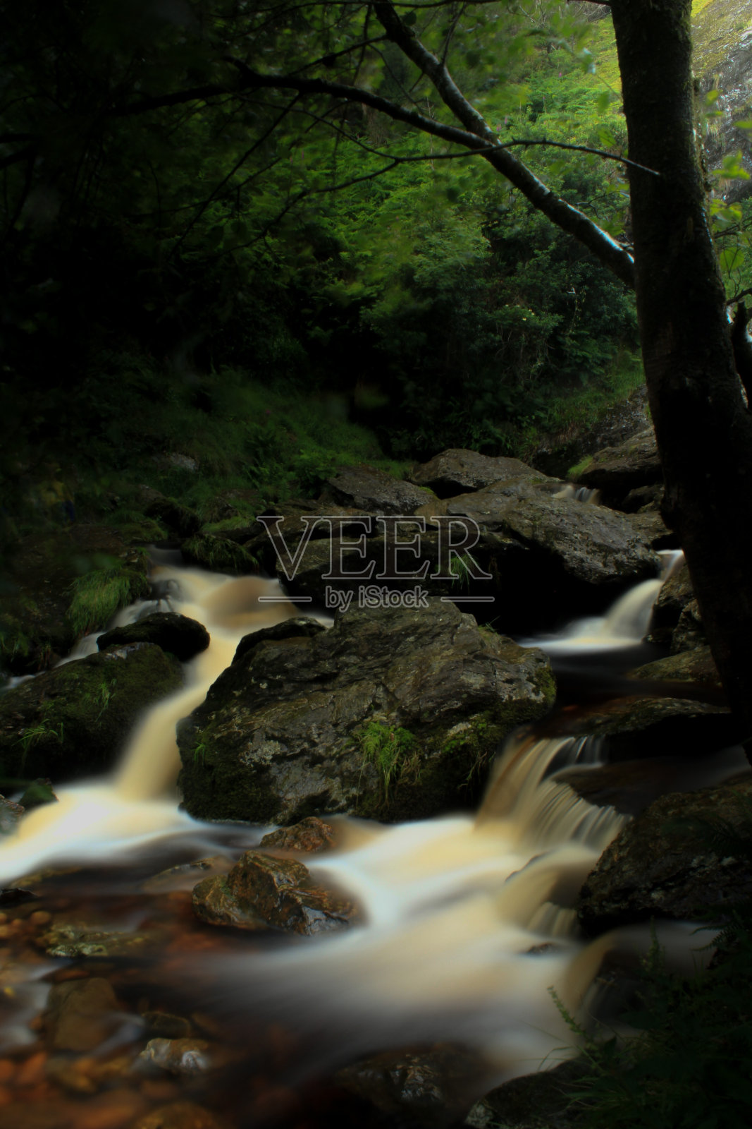 河静静地流淌照片摄影图片