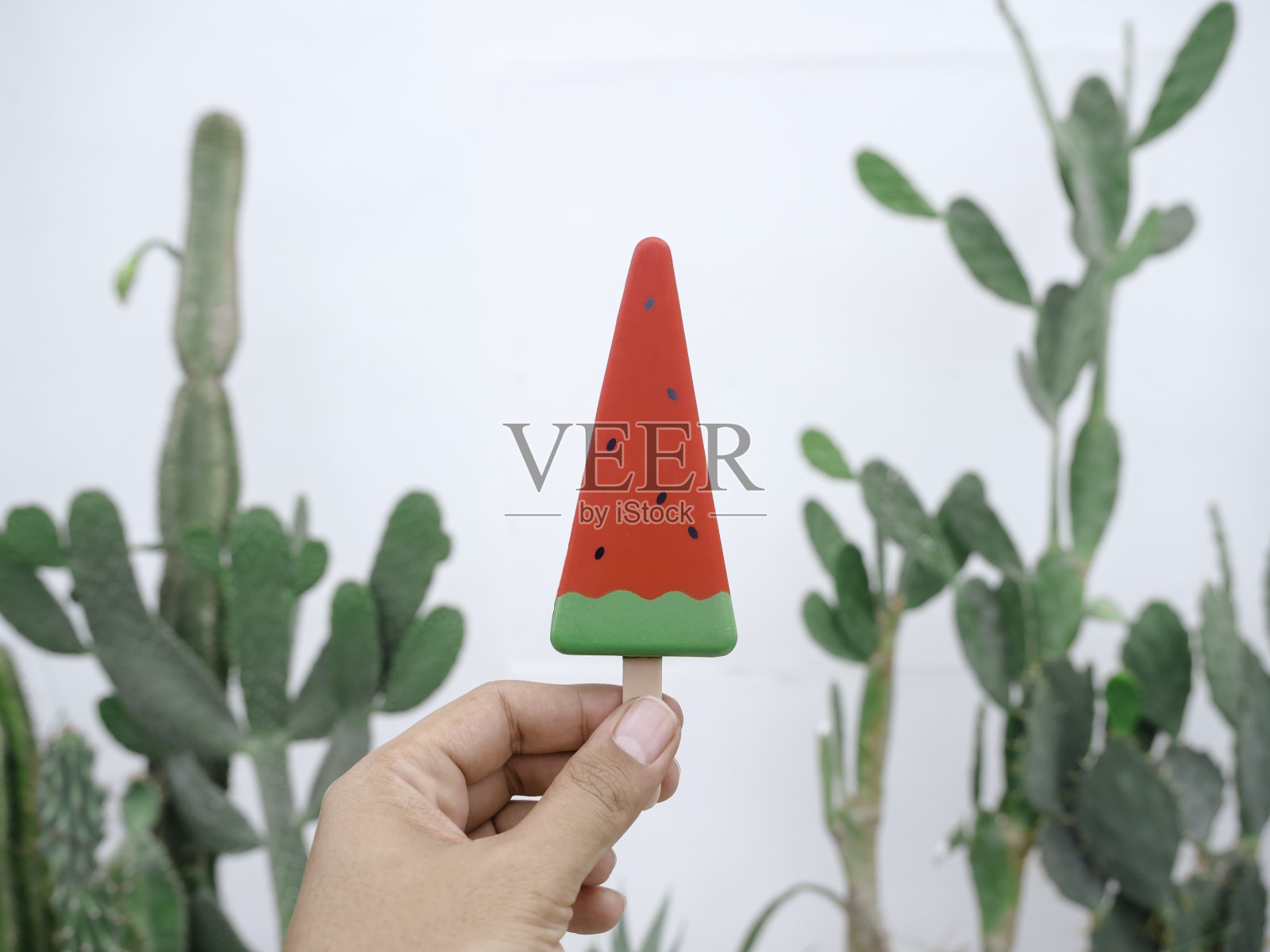 夏天的西瓜冰棒、雪糕棒。照片摄影图片