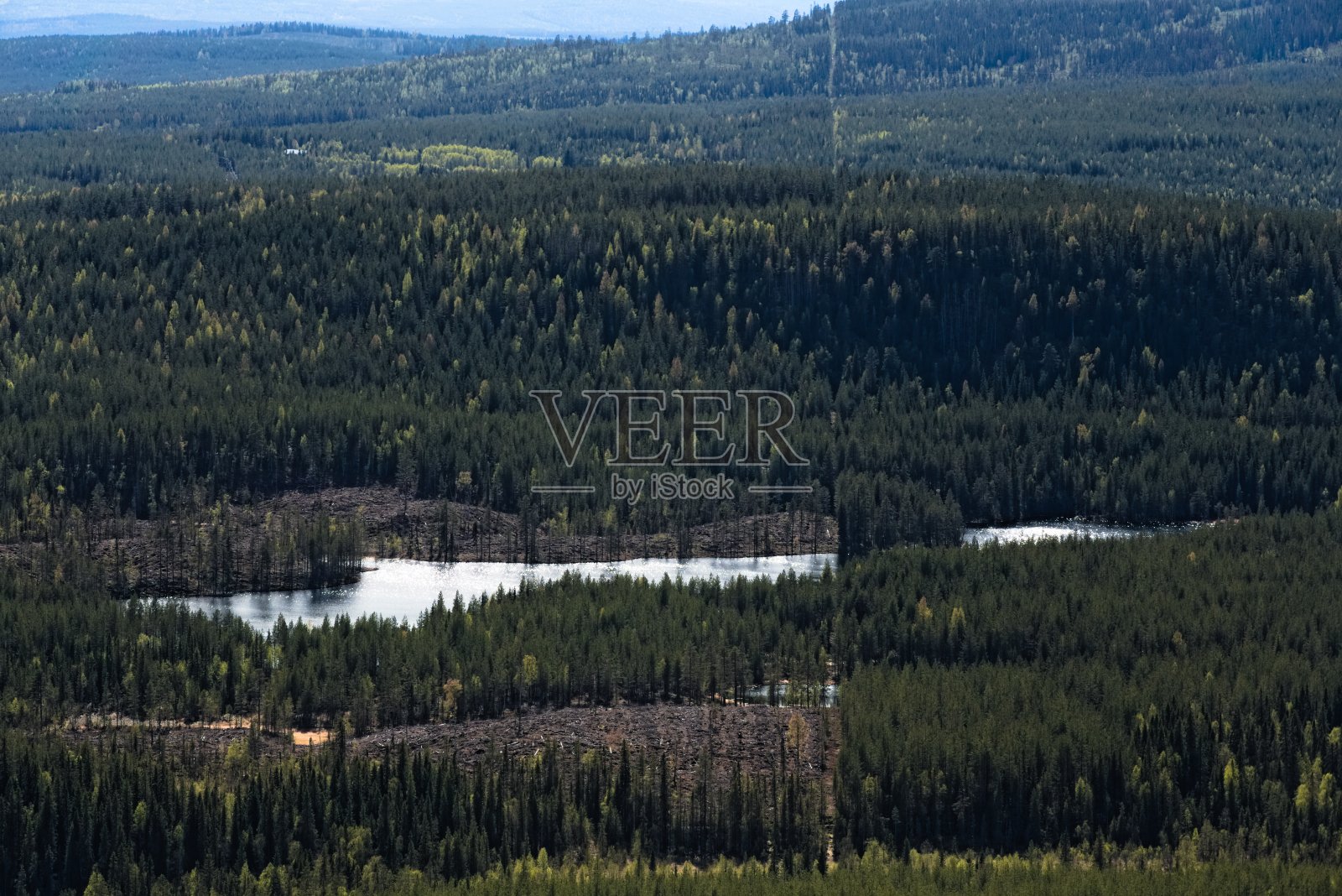 瑞典的森林和湖泊被一条笔直的小路分开照片摄影图片