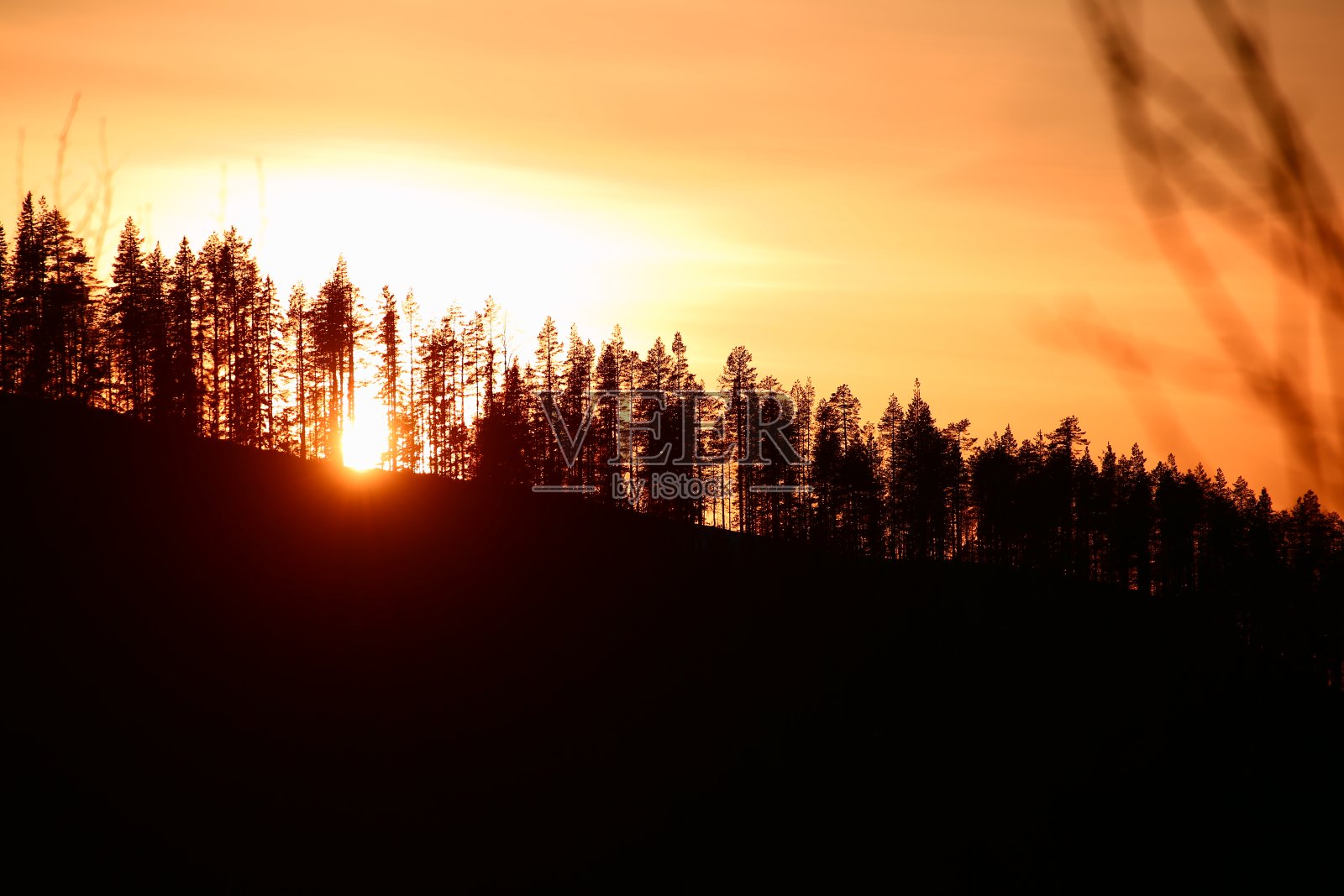 山上的树在橘黄色的日落天空前照片摄影图片