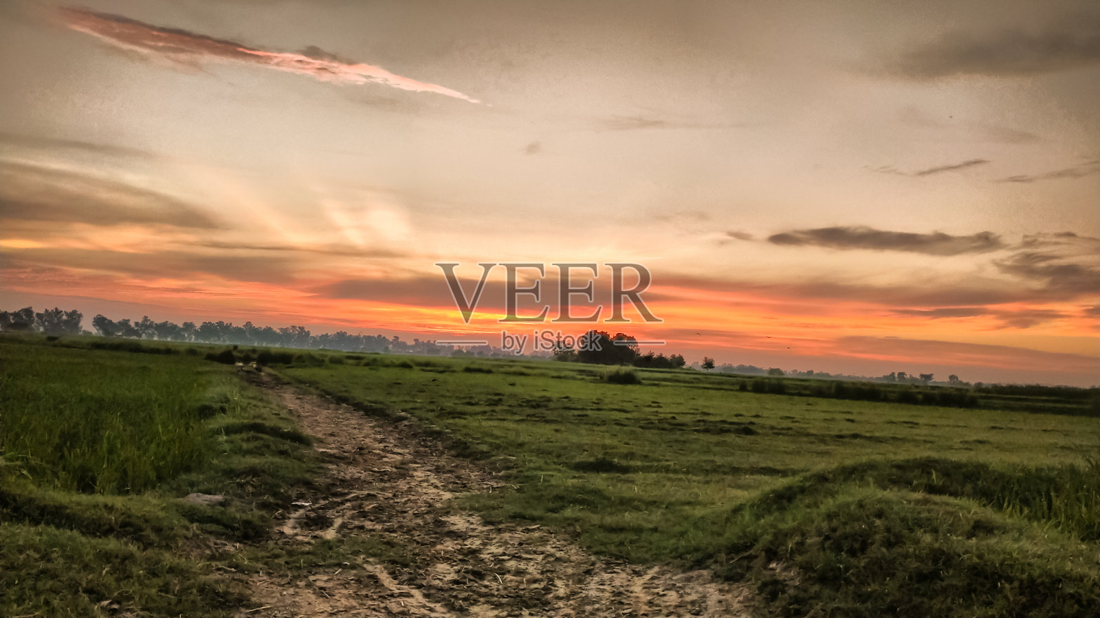 夕阳的场景。照片摄影图片