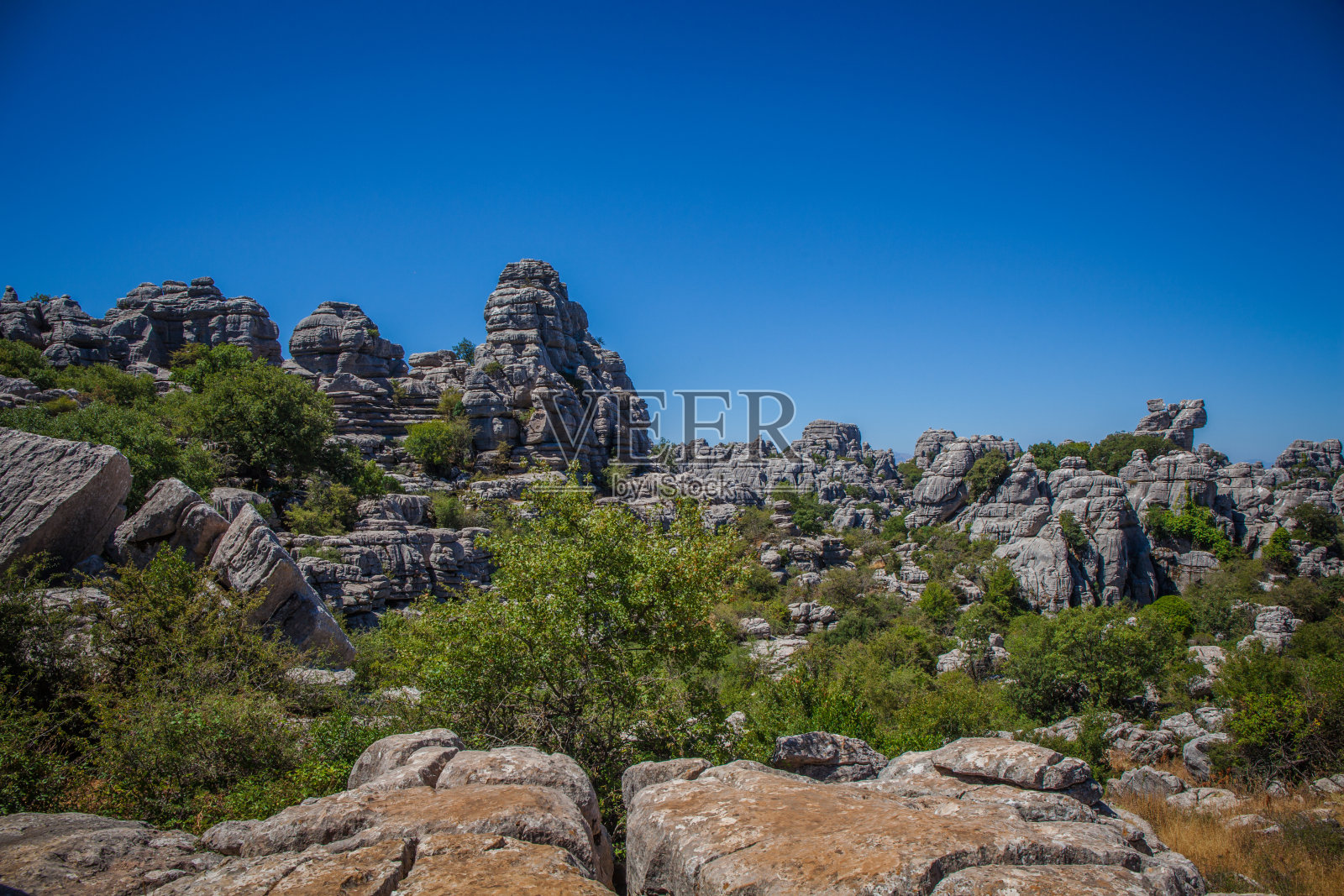 自然公园。照片摄影图片