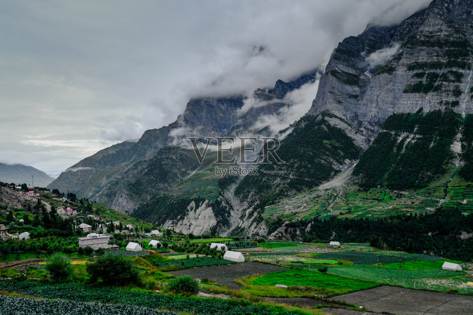 夏天，拉豪尔的提南谷，在阴天，高山覆盖在雾中，而山谷中喷涌着植被照片摄影图片