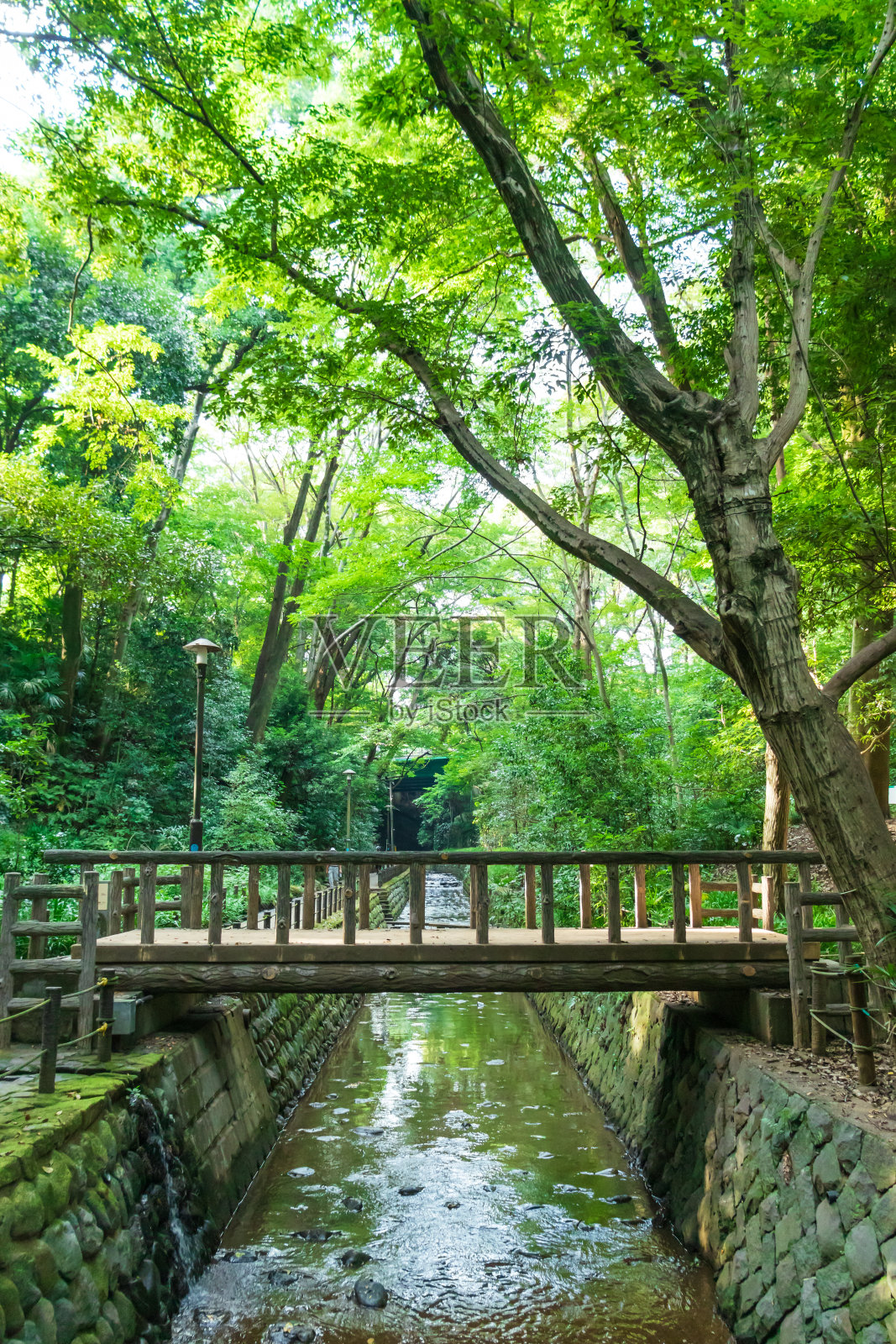 东京世田谷的Todoroki山谷照片摄影图片