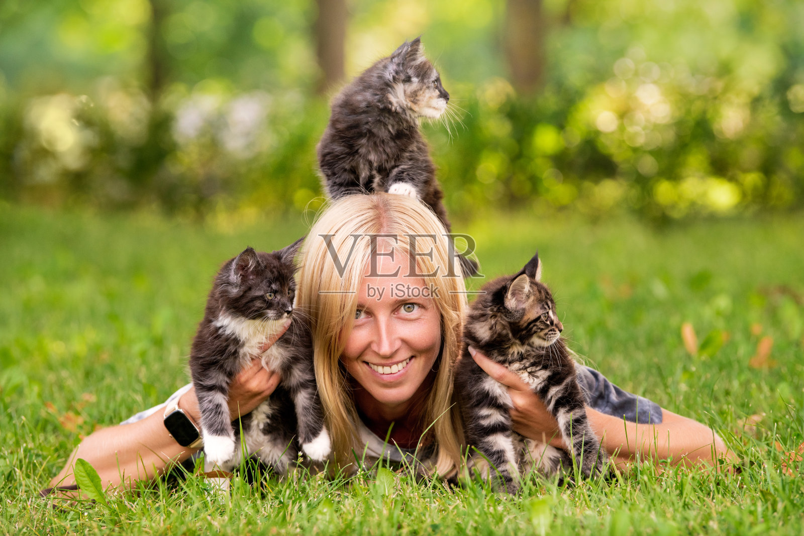 可爱的金发女孩在温暖阳光的夏日和小猫玩耍照片摄影图片