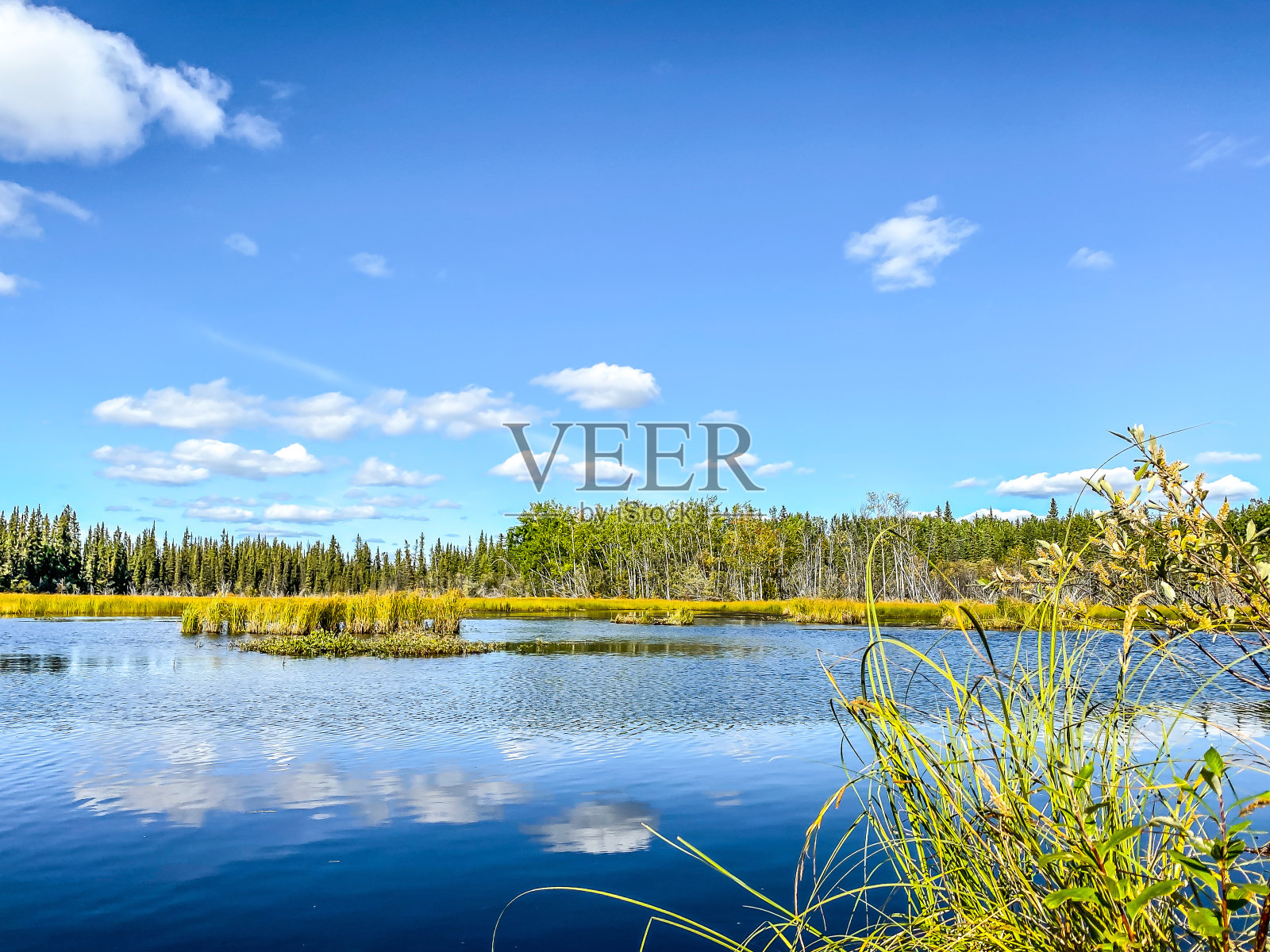夏天的阿拉斯加湖与云的倒影照片摄影图片