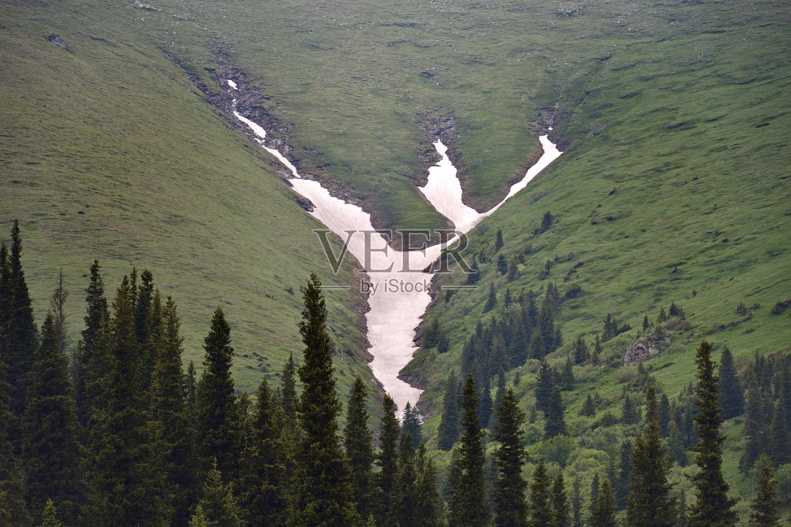 新疆巴音布鲁克草原照片摄影图片