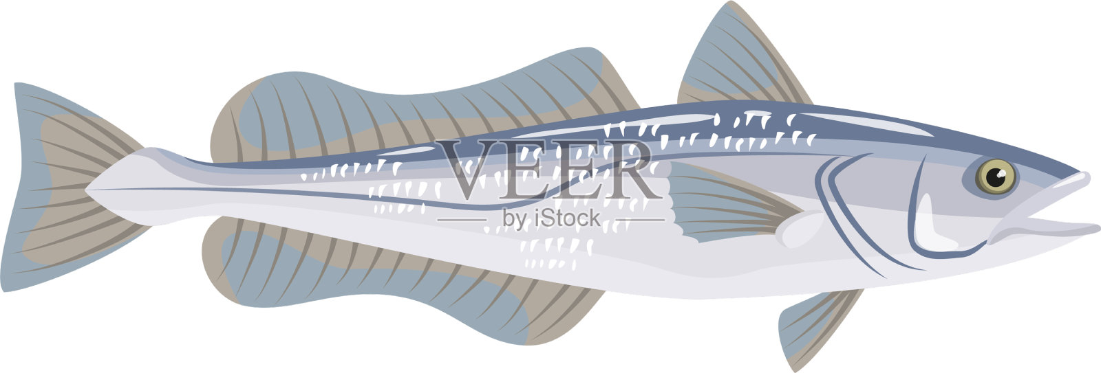白底鳕鱼海鲜插画图片素材