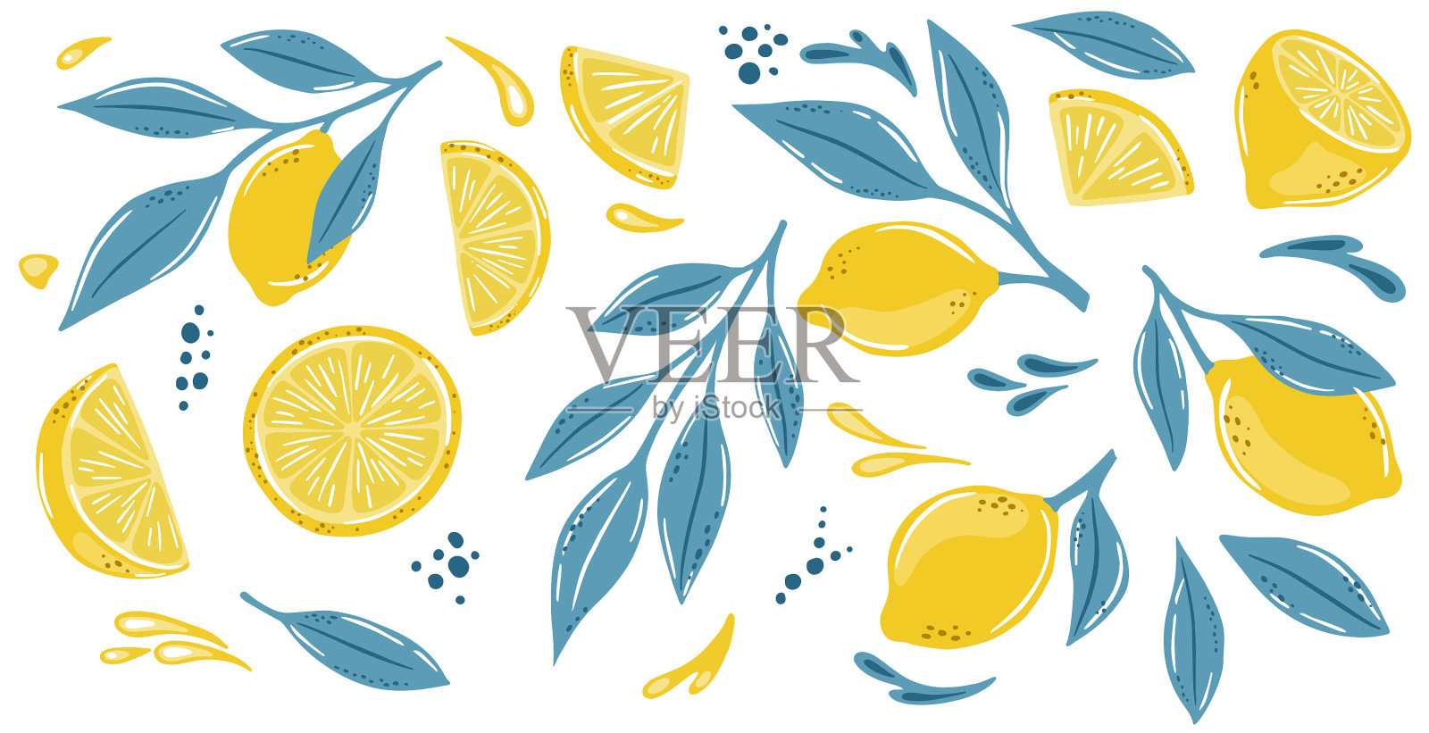 设置柠檬与叶孤立在白色插画图片素材