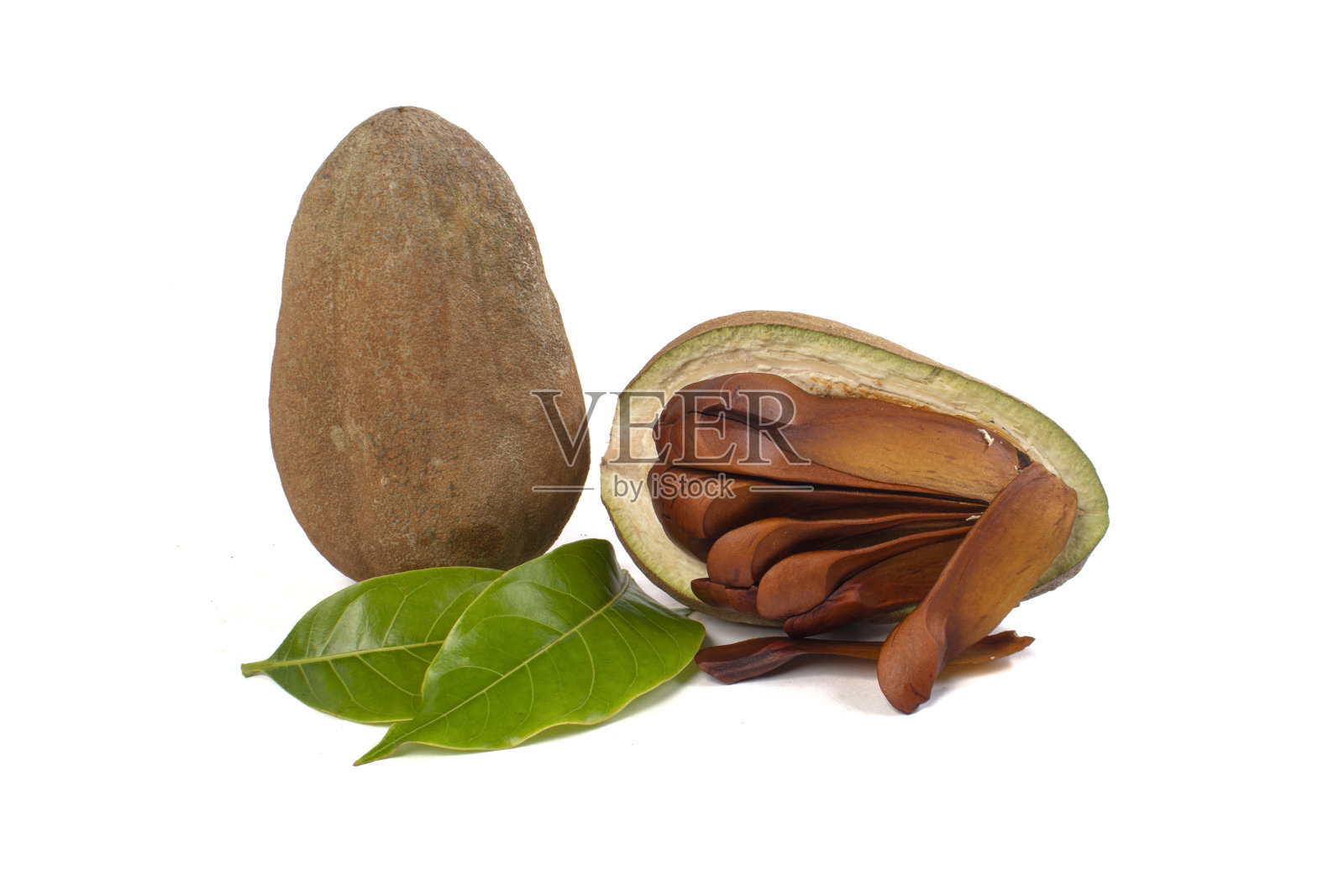 桃花桃花心木果照片摄影图片