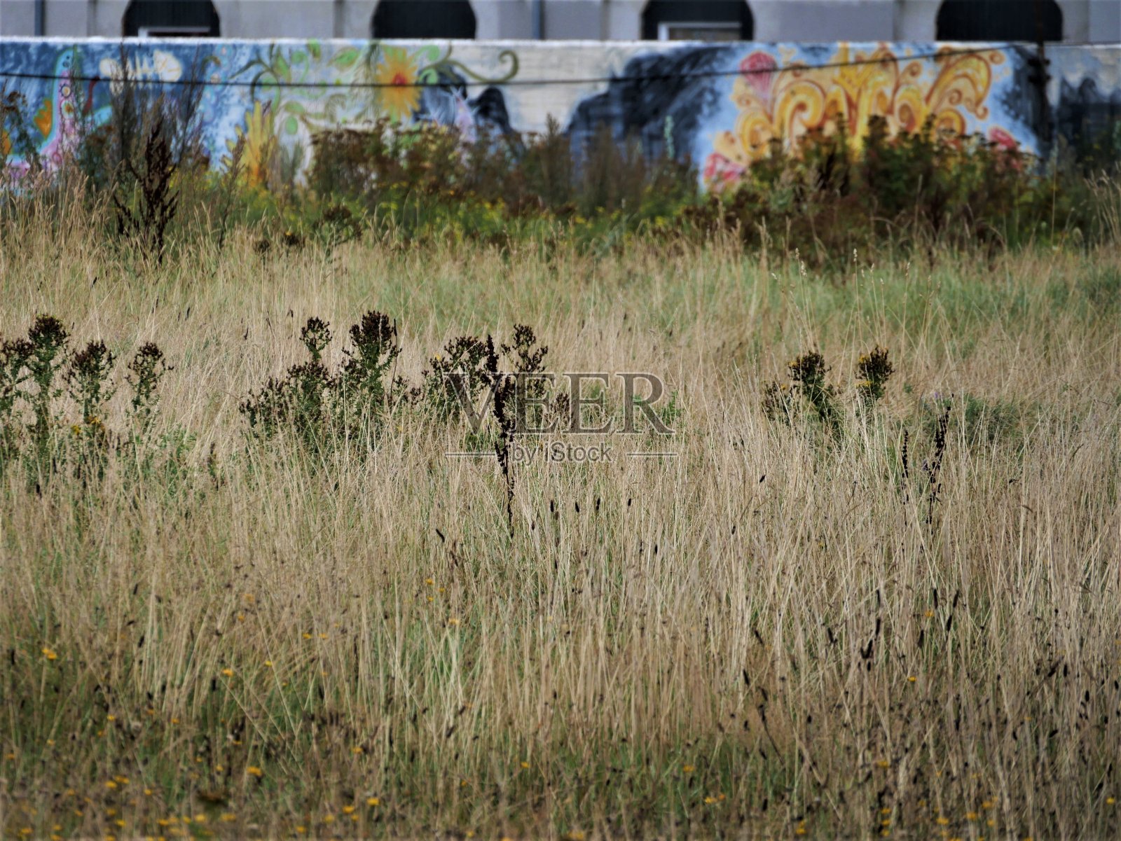 彩色壁球场照片摄影图片