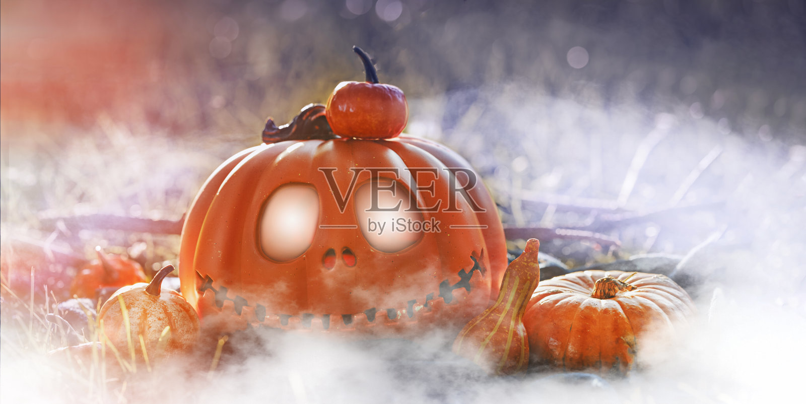 南瓜头jack ' o'-lantern特写和橙色的秋天南瓜，在阳光耀眼的大自然中的静物，万圣节的背景照片摄影图片