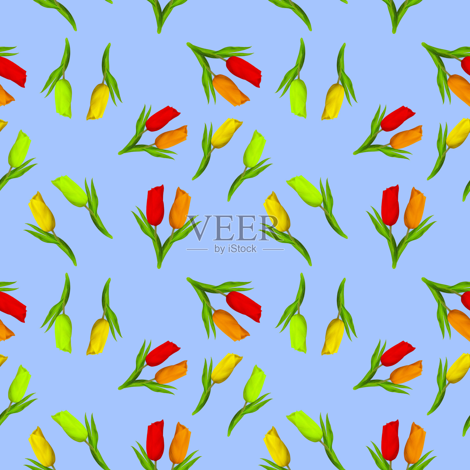 郁金香。插图，花的纹理。连续复制的无缝模式。花卉背景，照片拼贴为纺织，棉花织物。墙纸，封面，打印照片摄影图片