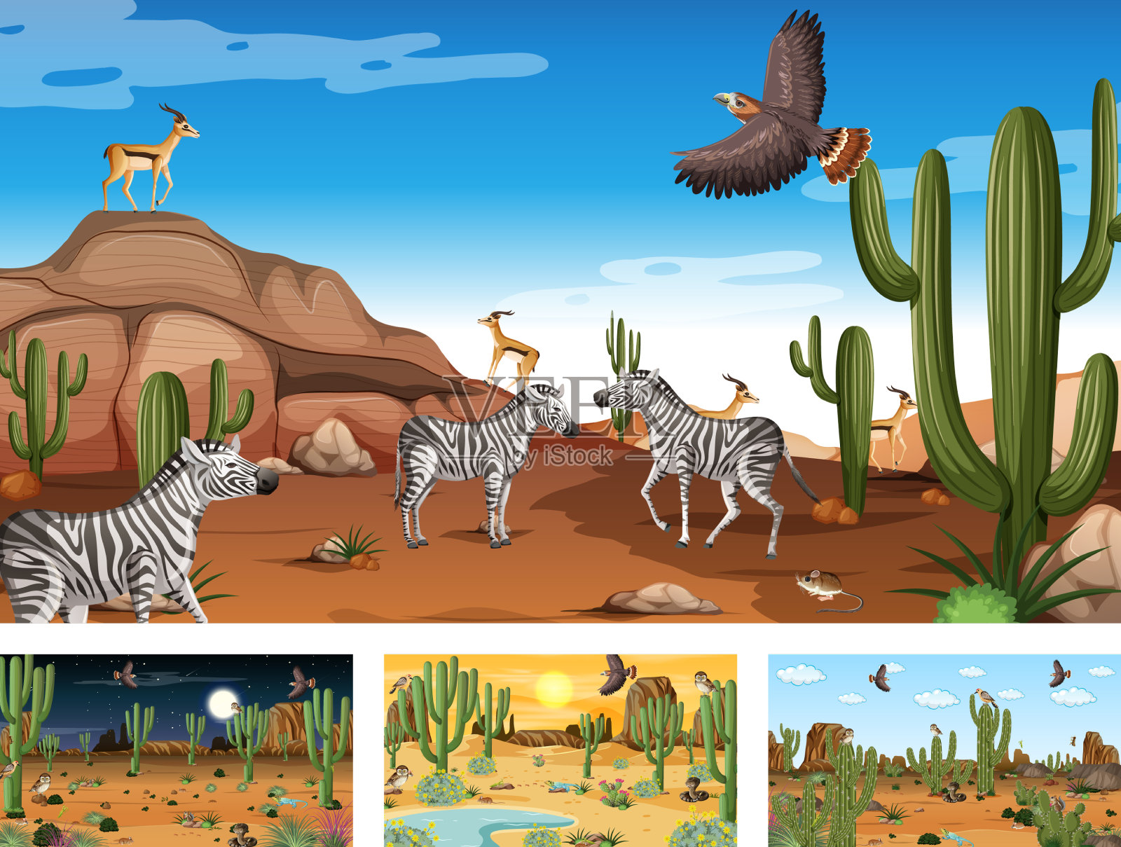 不同场景的沙漠森林景观插画图片素材