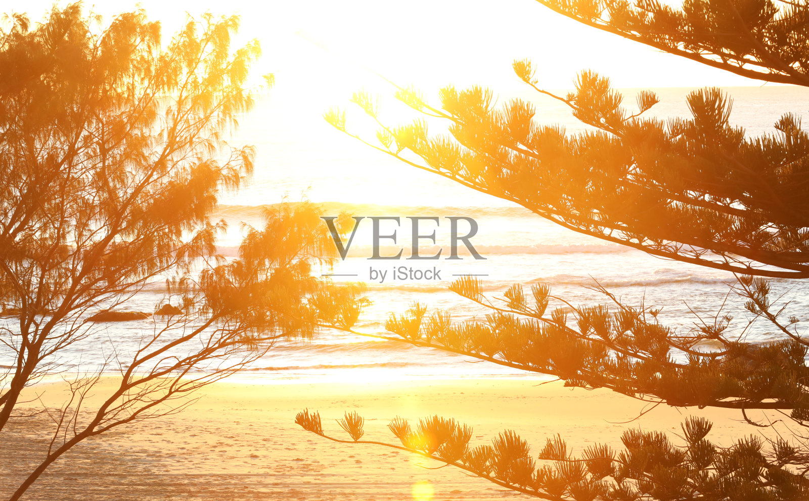 美丽的金色阳光在日出奥克斯利海滩，麦夸里港。新南威尔士州北海岸中部。照片摄影图片