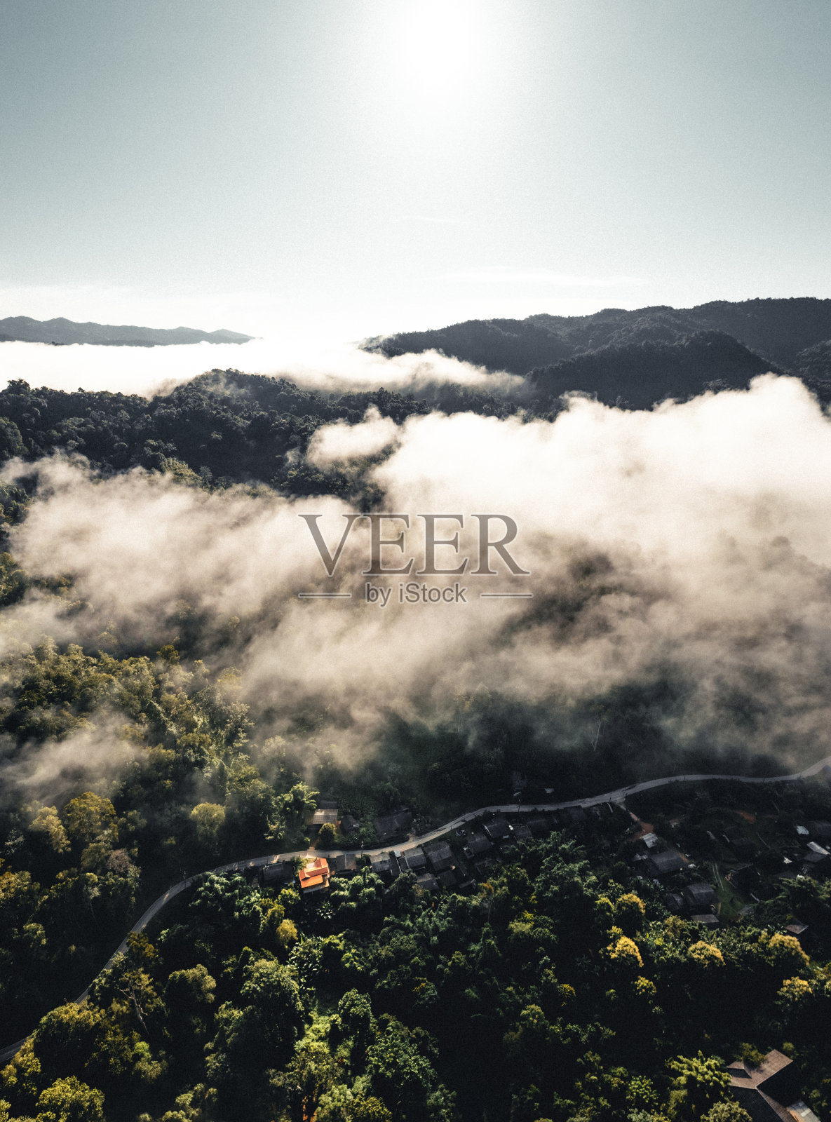 山上雨季的晨雾照片摄影图片