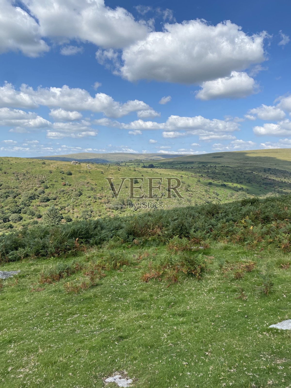 达特穆尔照片摄影图片