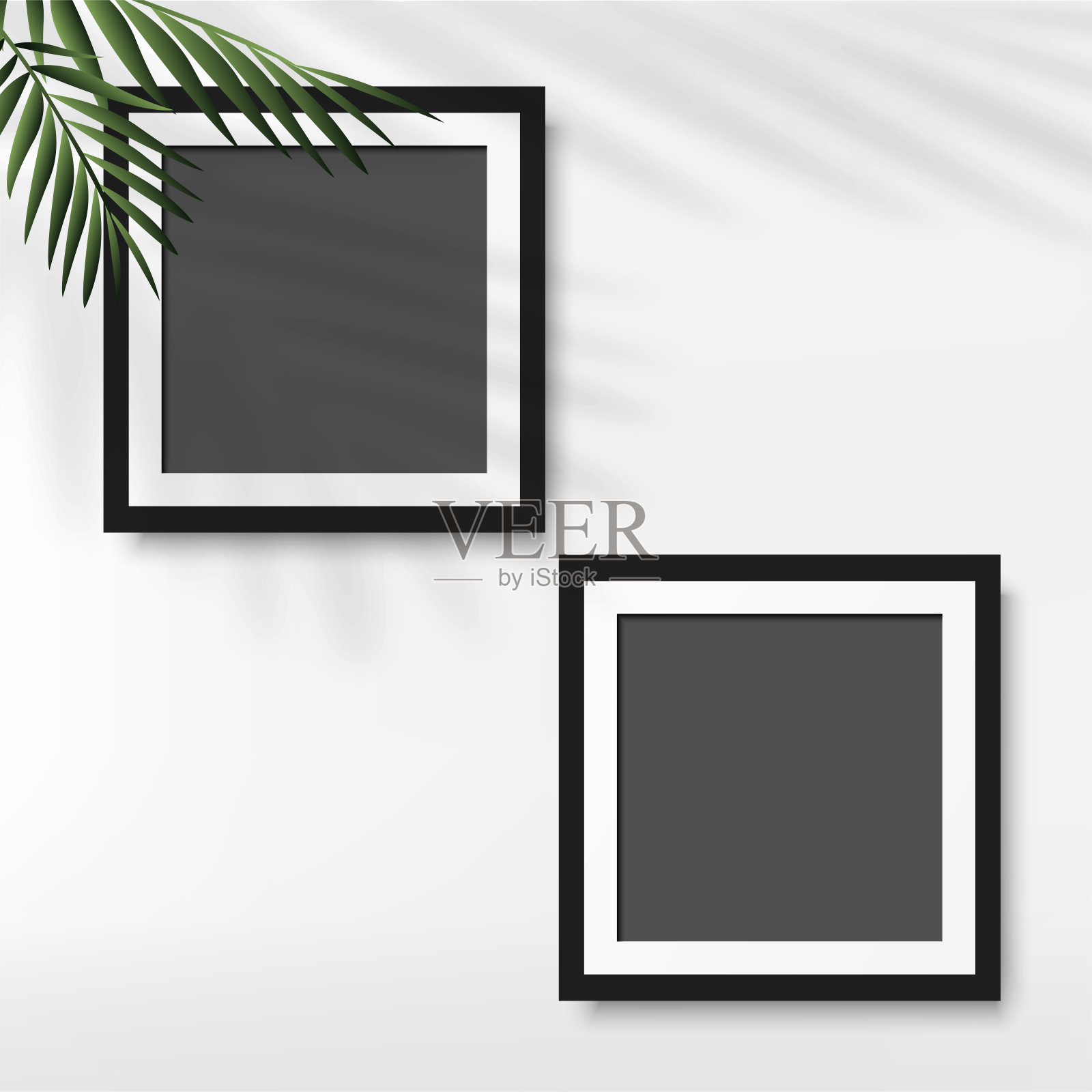 黑色相框，白色背景棕榈叶。向量设计元素图片