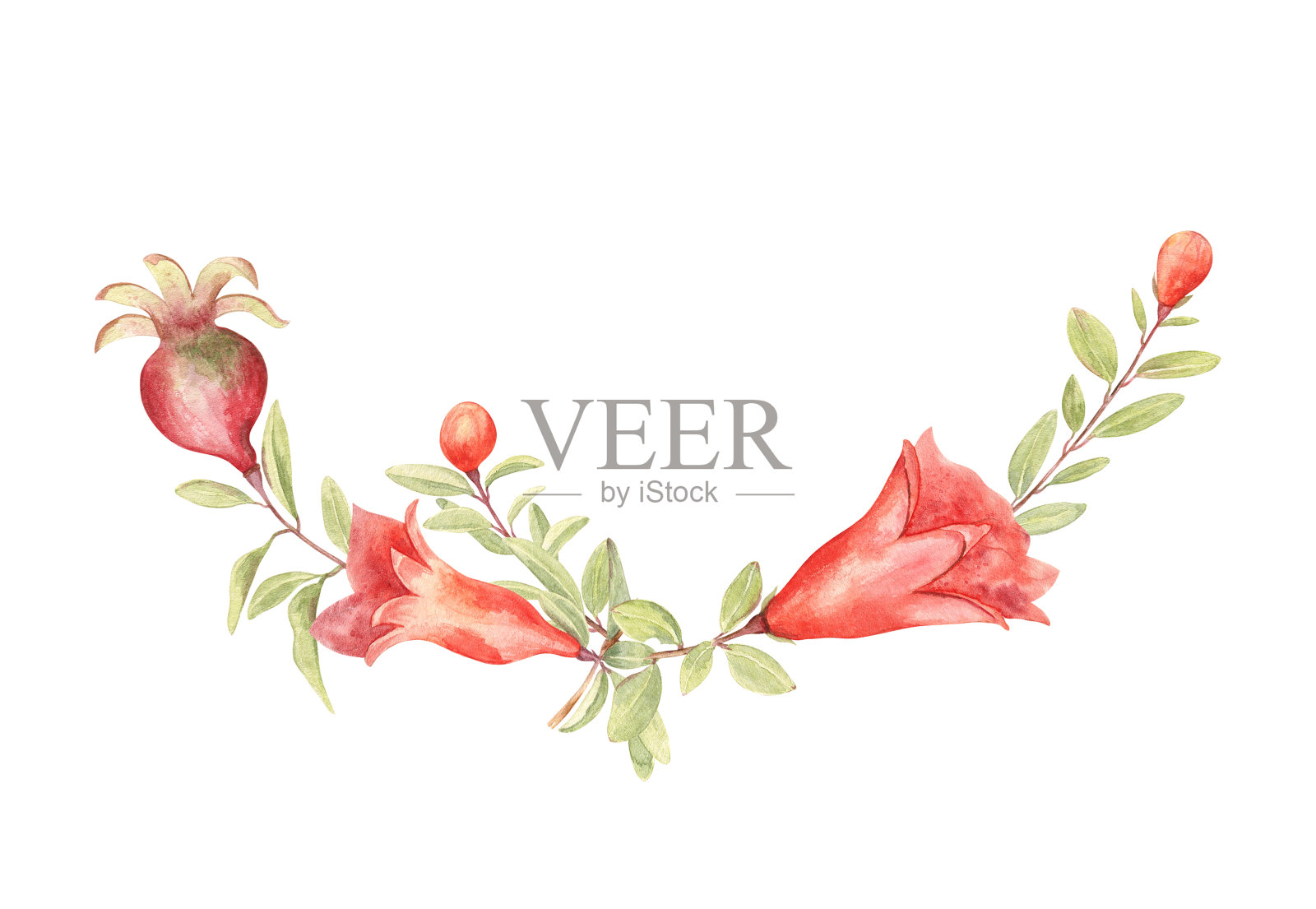 石榴水果和花安排-小插图，在水彩。插画图片素材