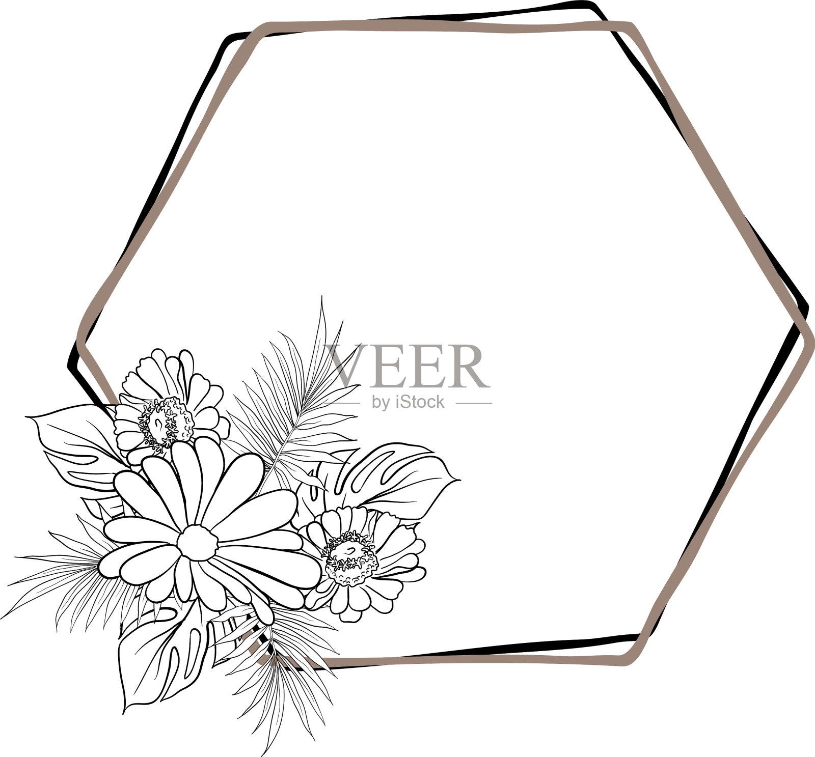 美丽的叶花框架文本分隔与插画图片素材