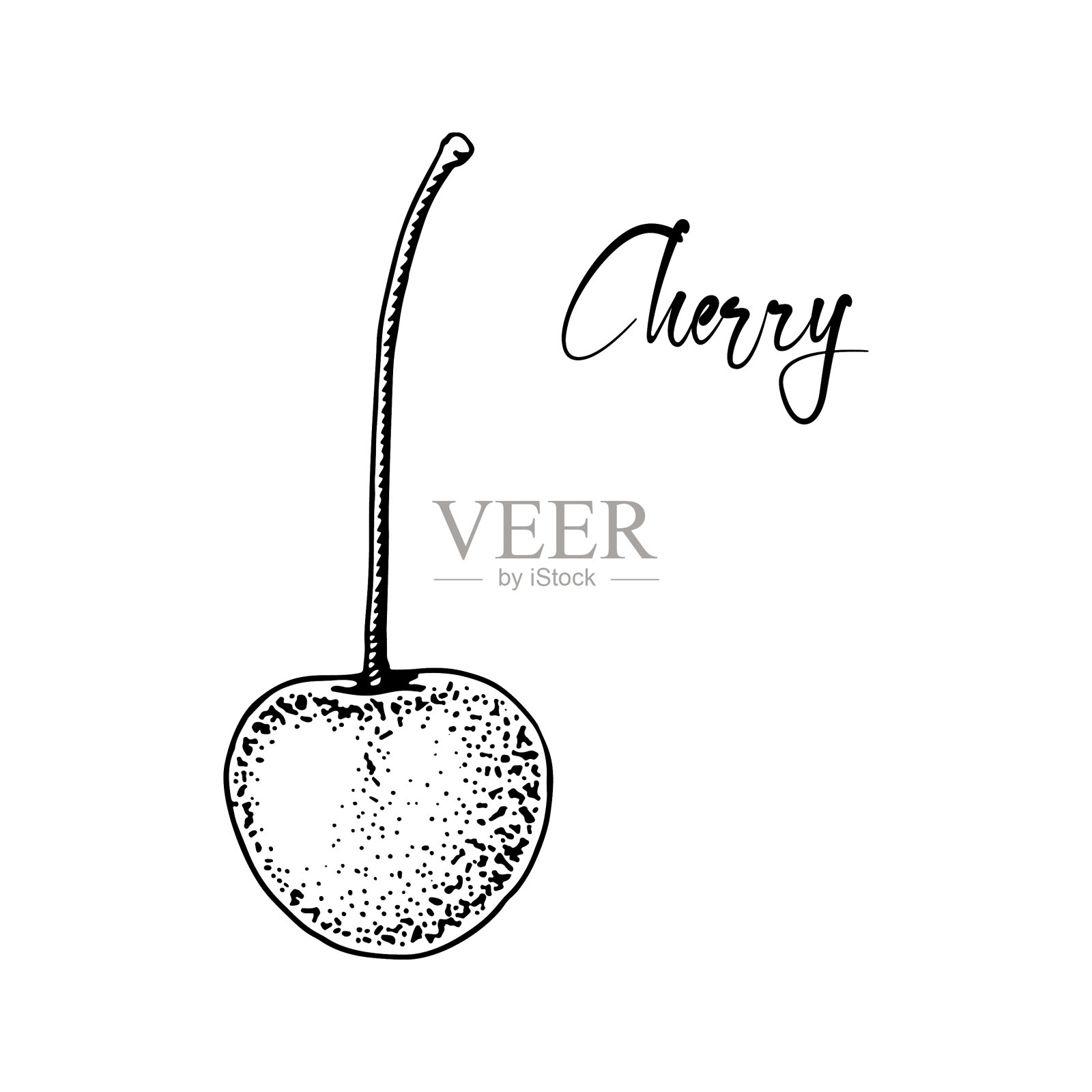 手画樱桃浆果孤立在白色设计元素图片