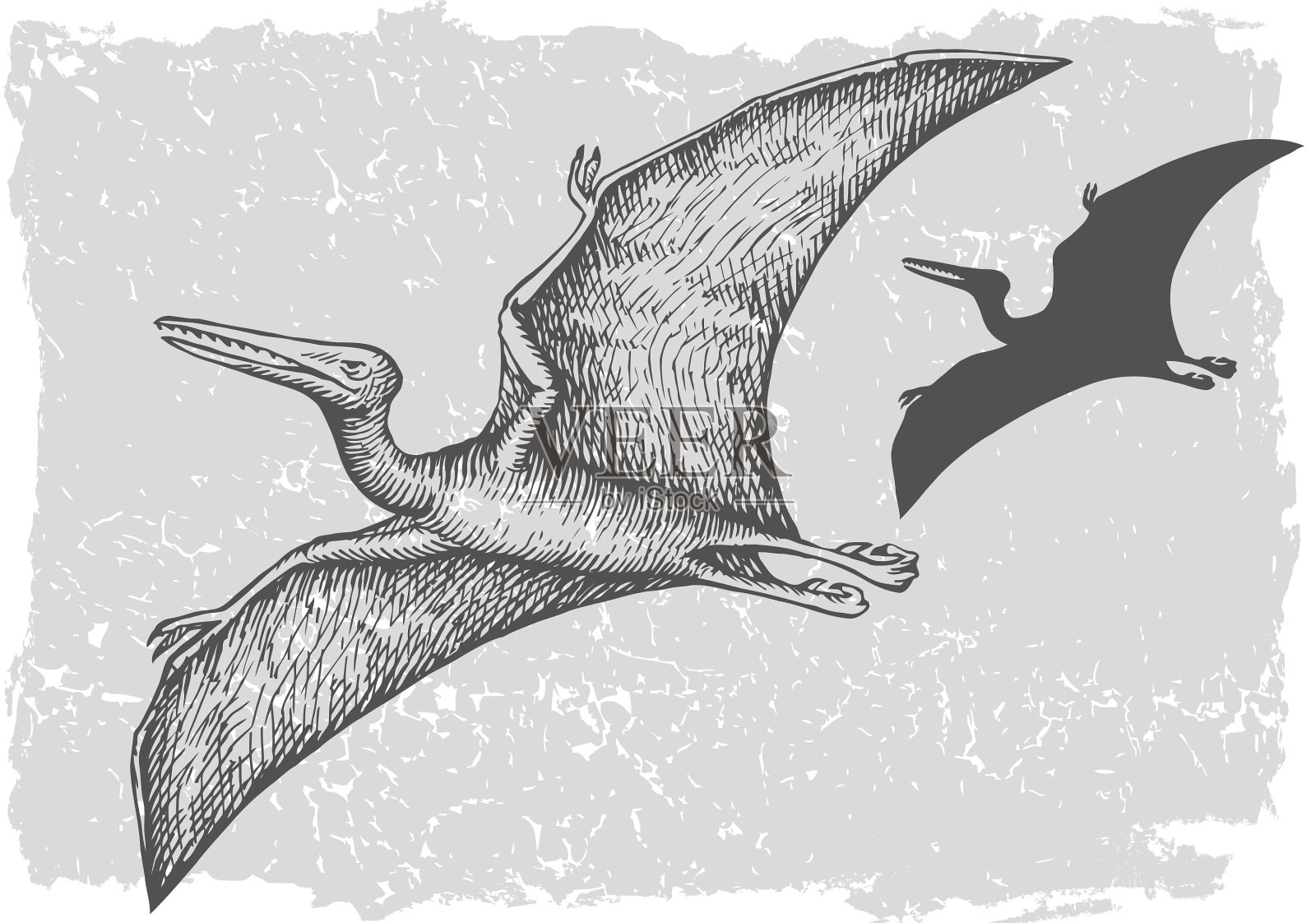 恐龙翼手龙，手绘插画图片素材