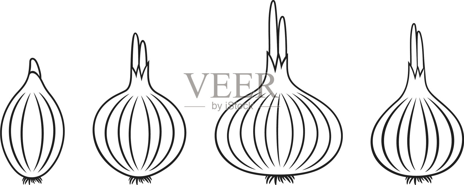 洋葱插画图片素材