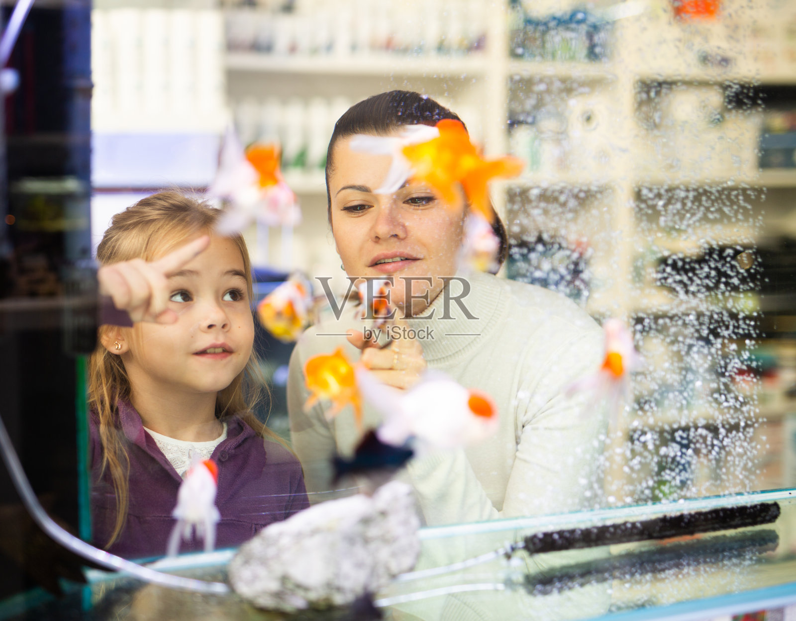 透过玻璃观景的女人和女孩在看鱼照片摄影图片