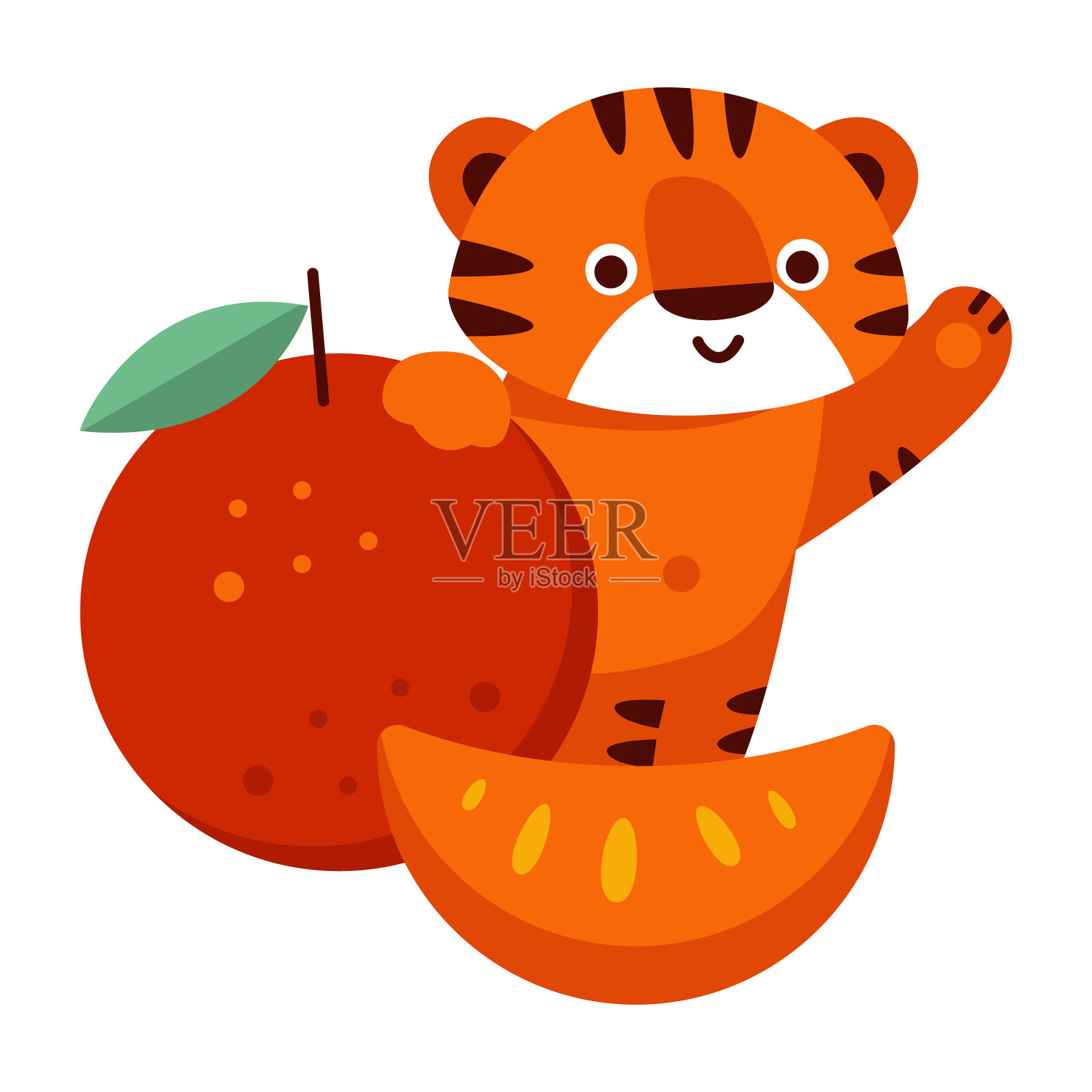 老虎和橘子。矢量插图在卡通风格。孤立在白色背景上。插画图片素材